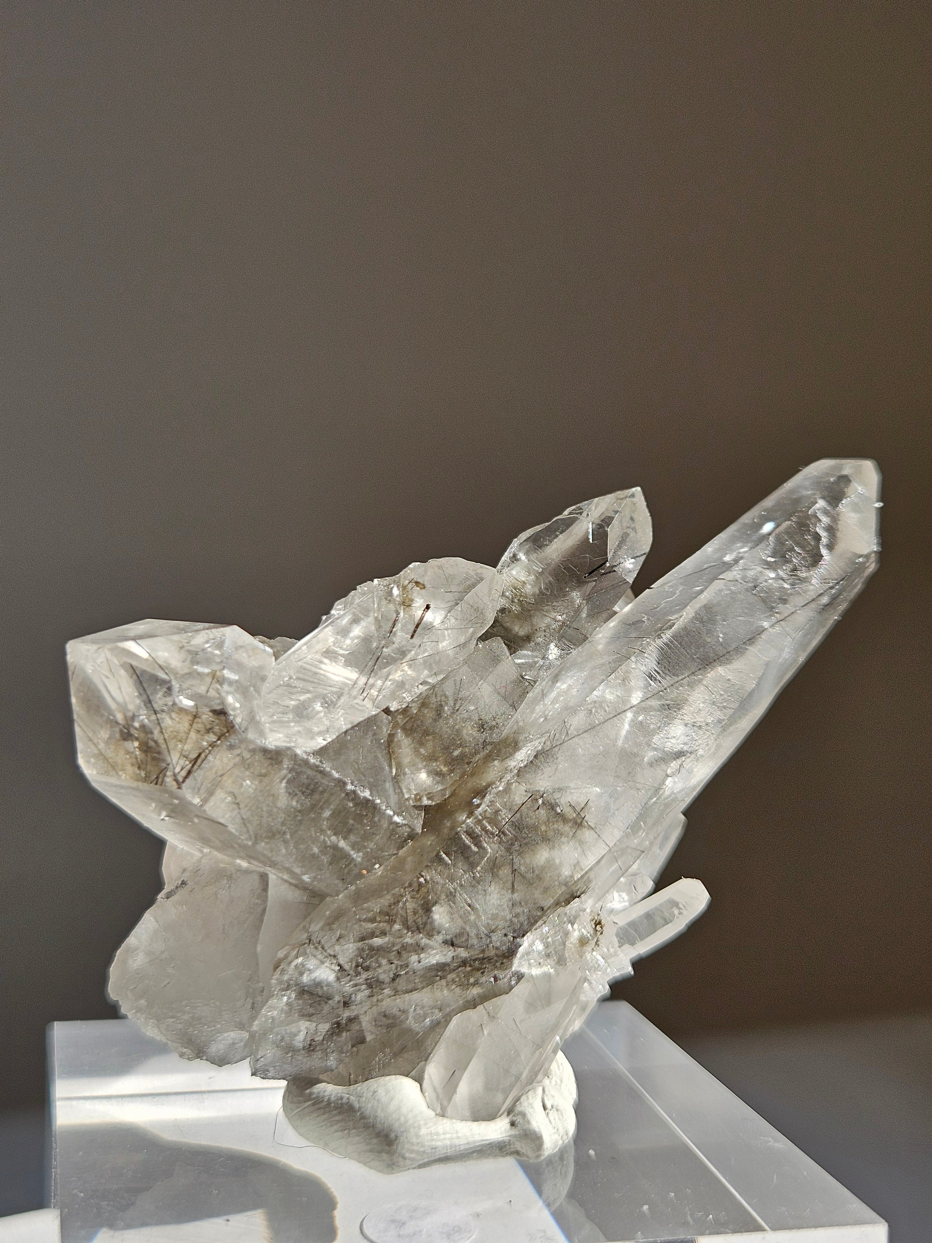 Black Tourmaline in Quartz 005