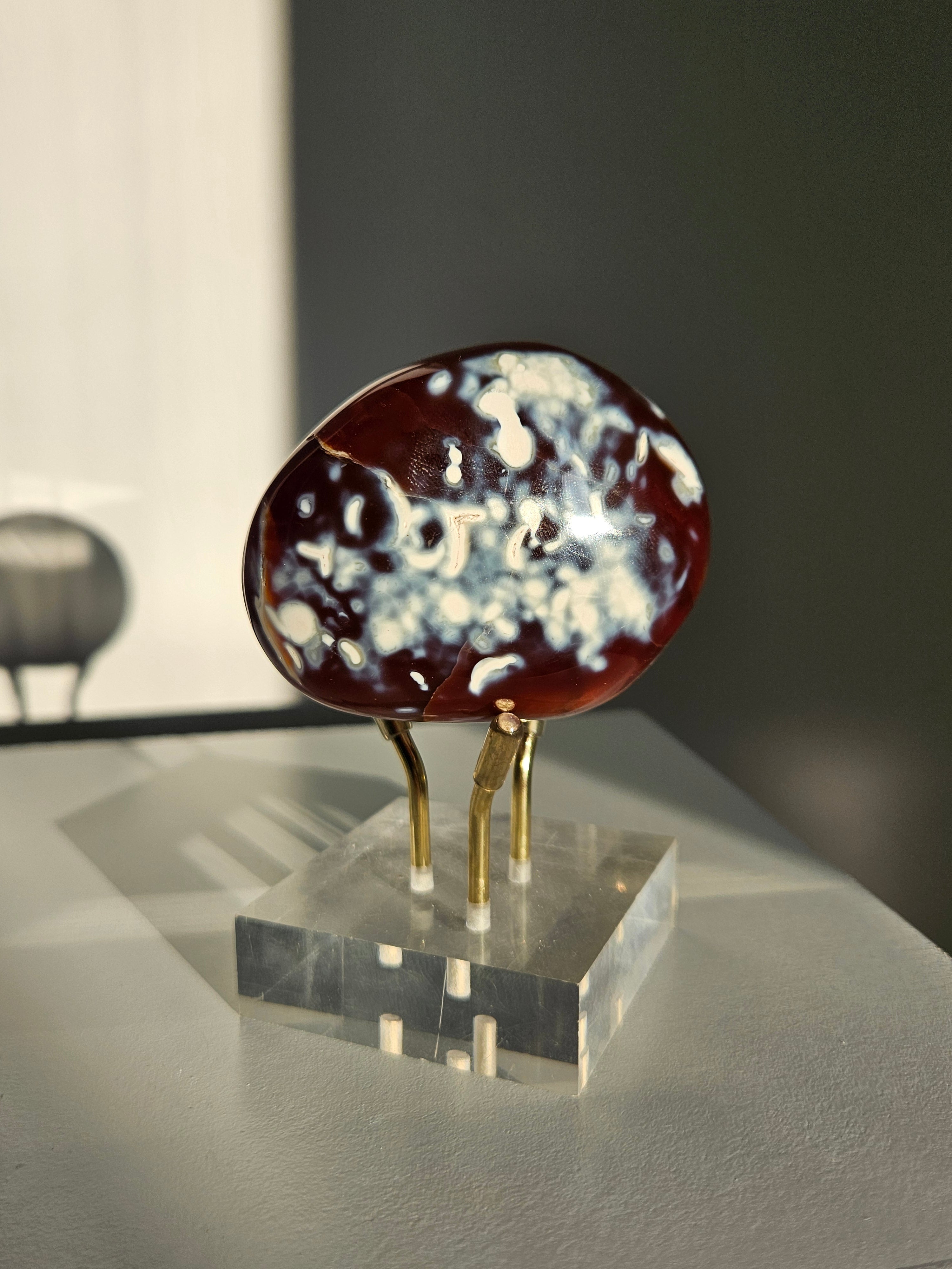 Orca agate x Carnelian Freeform 012