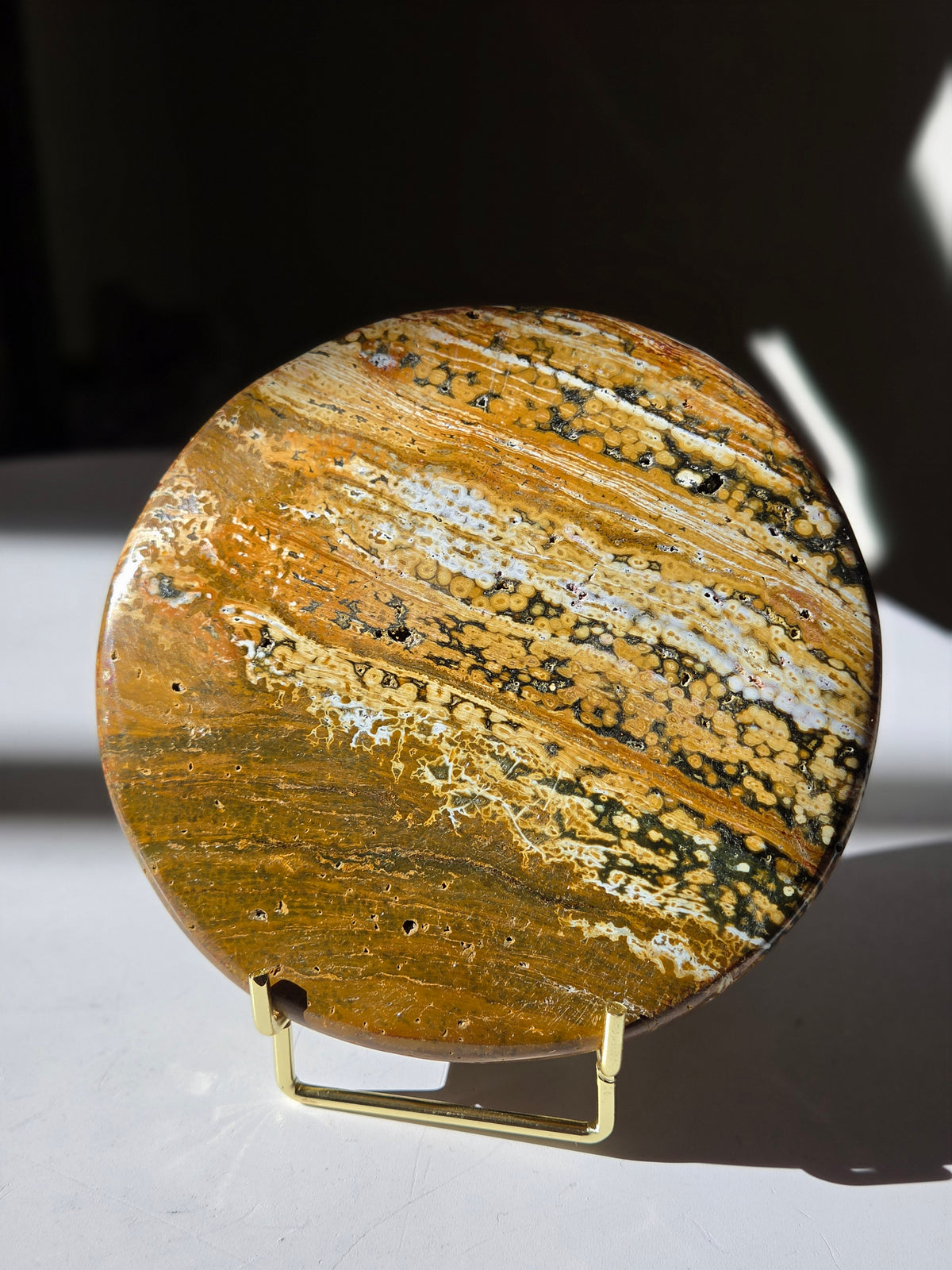 Sea Jasper Slab 008