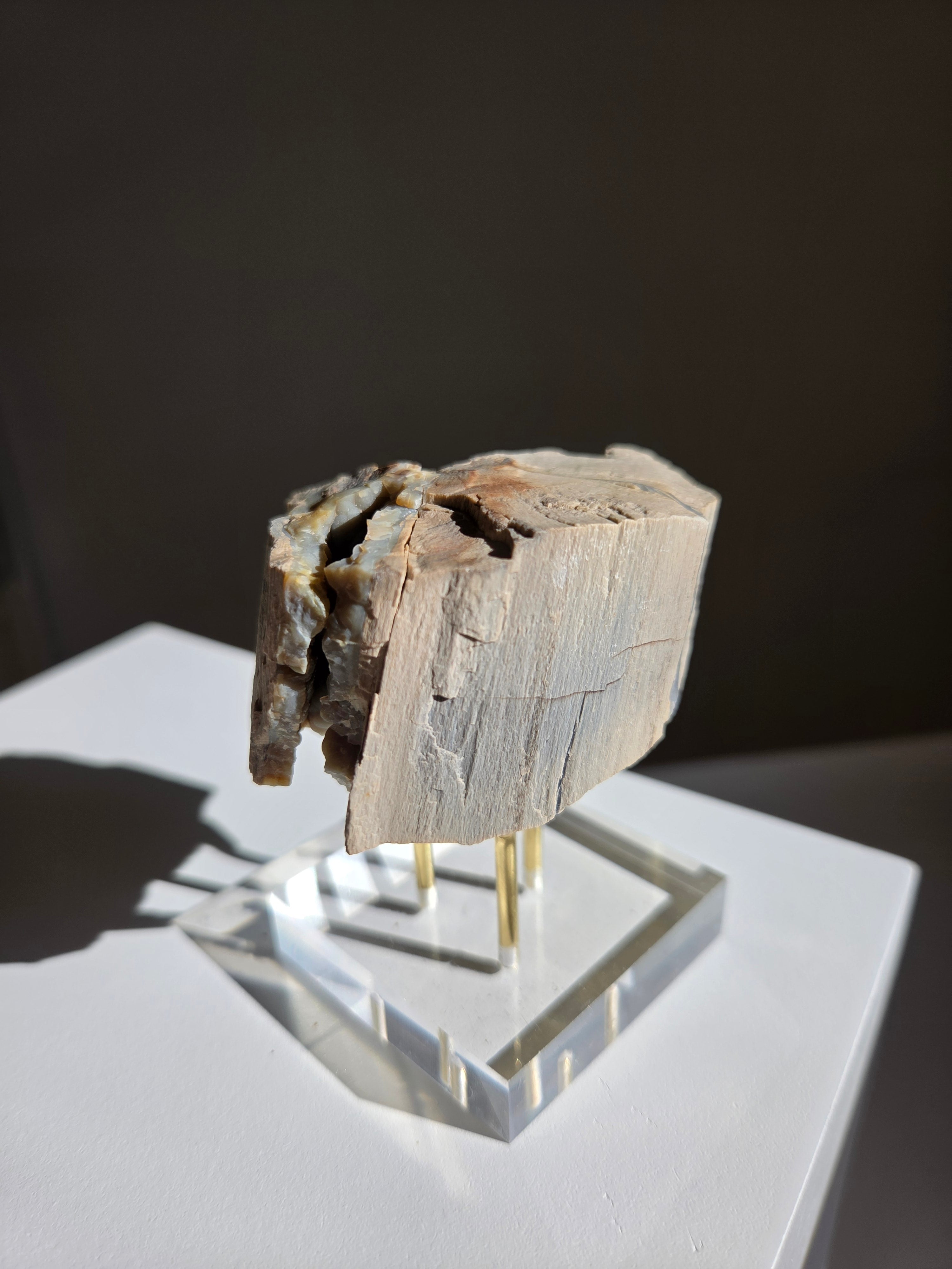 Permineralized Wood x Smoky Quartz 003
