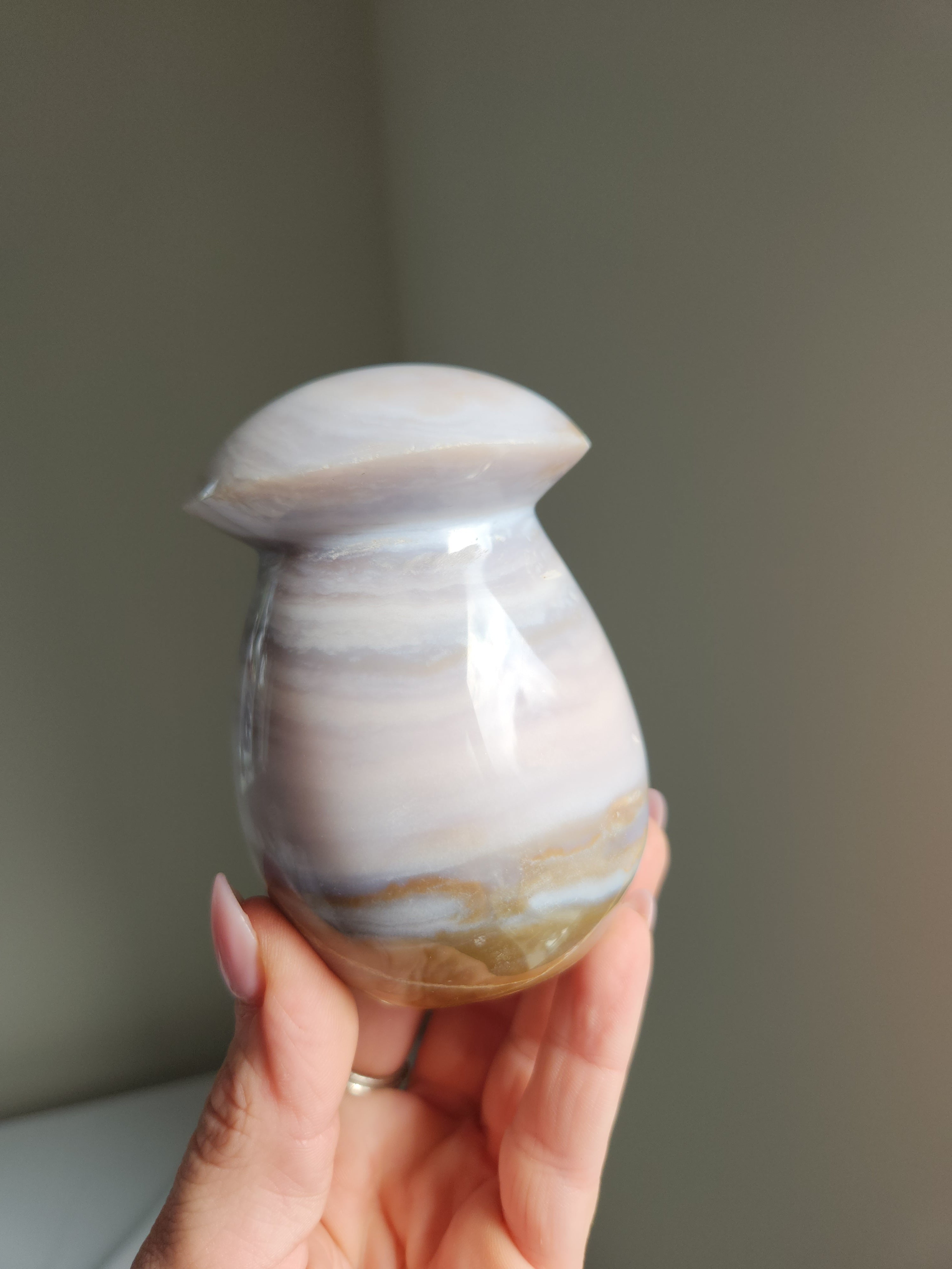 Sea Jasper Mushroom 001