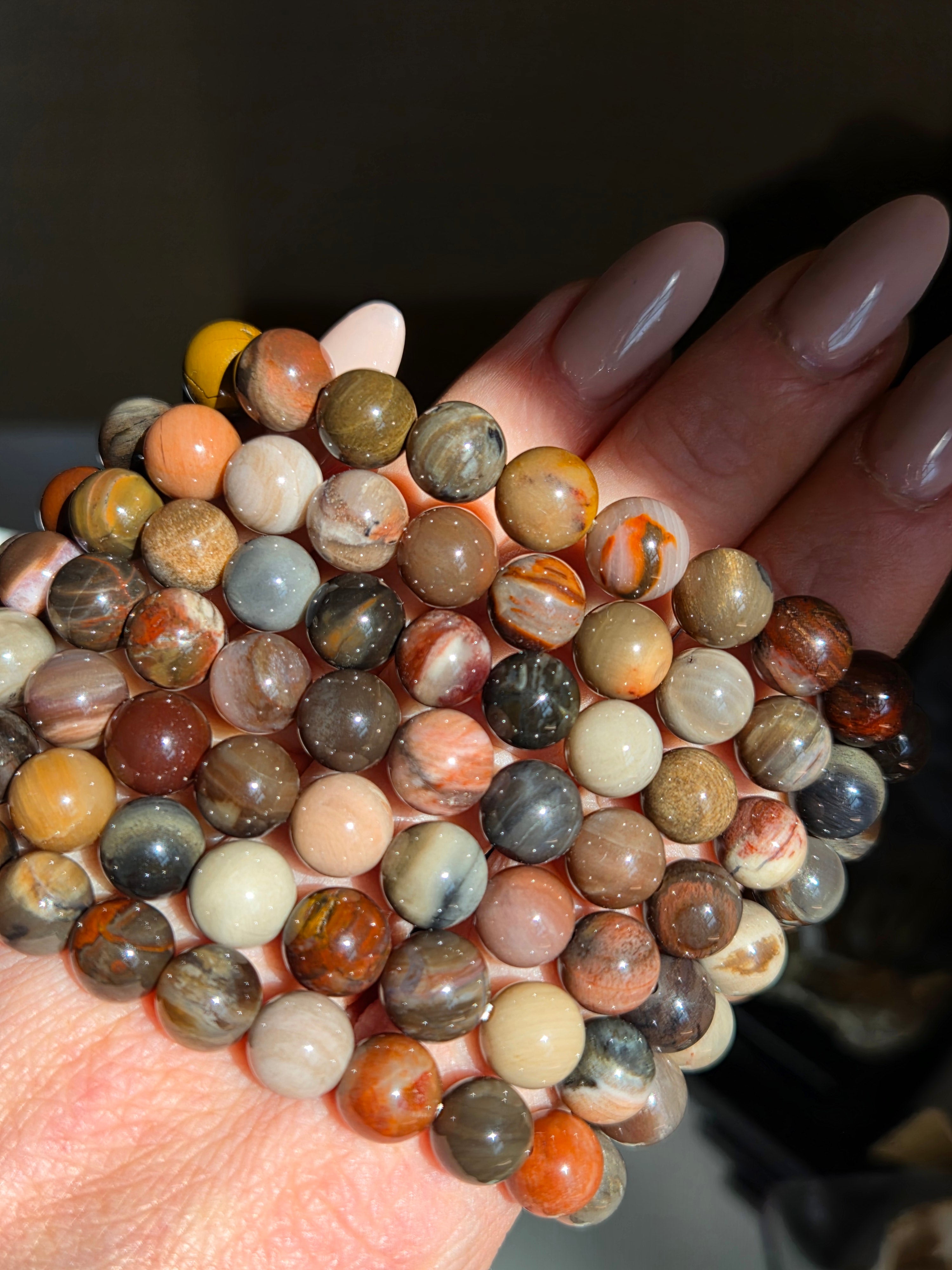 Petrified Wood Bracelet | 8mm