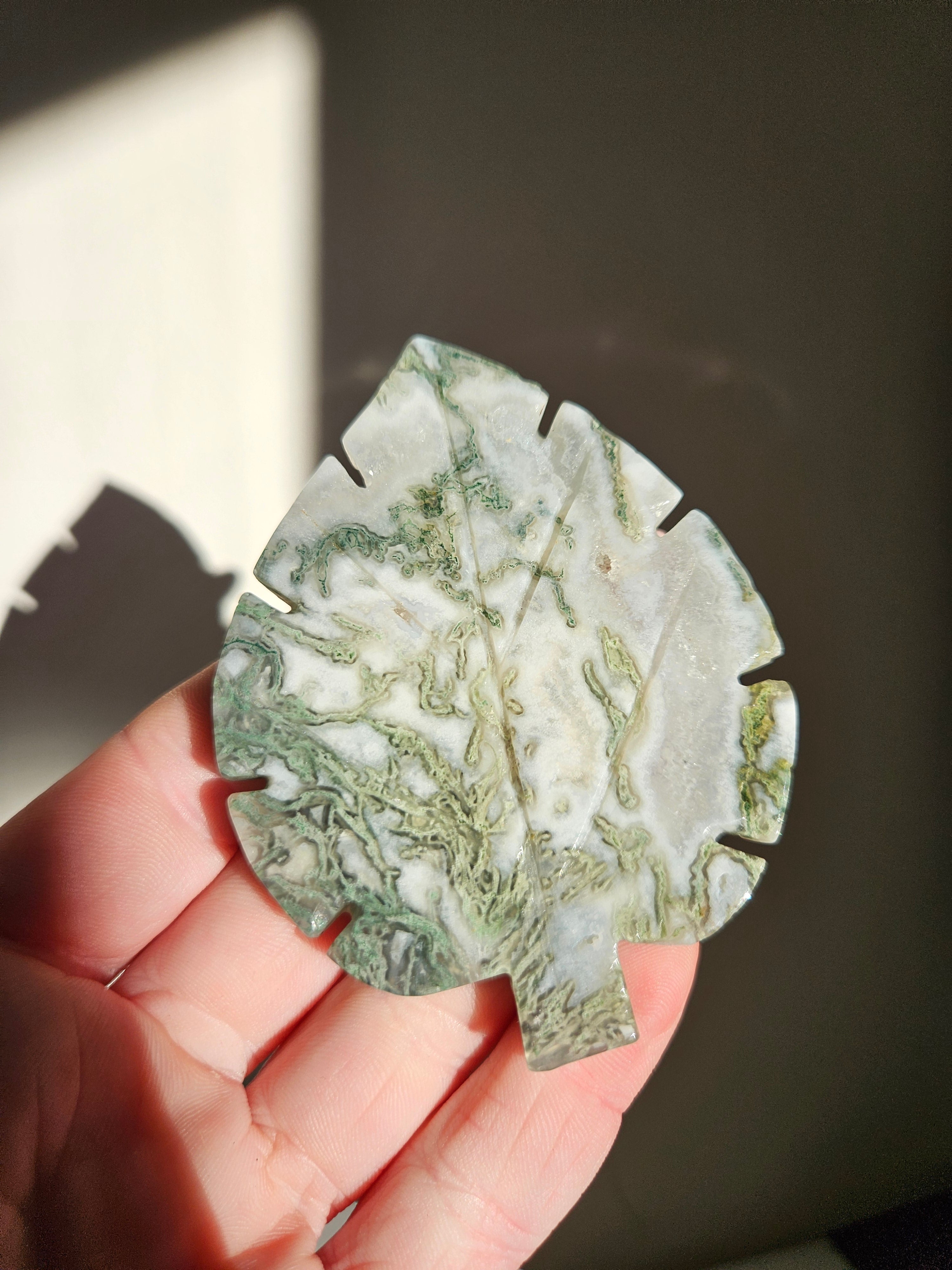 Moss Agate Leaf 003