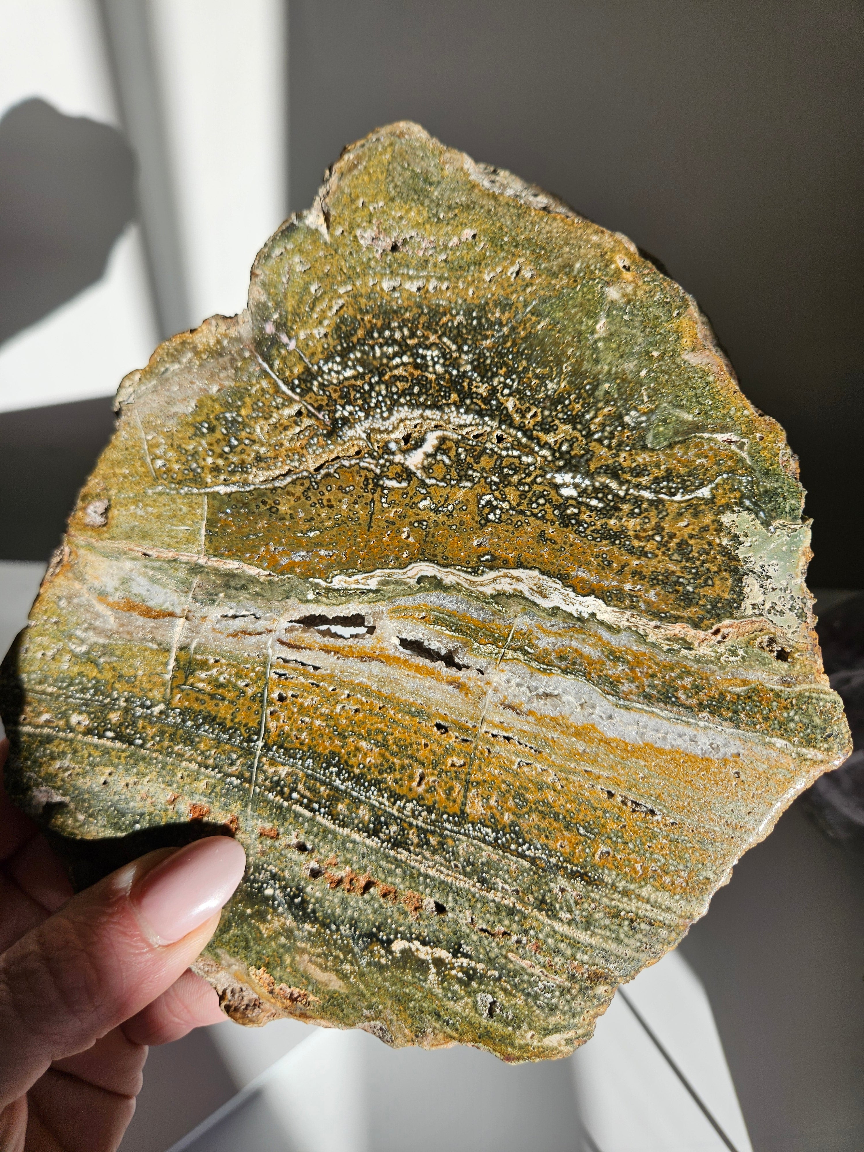 Sea Jasper Slab 004