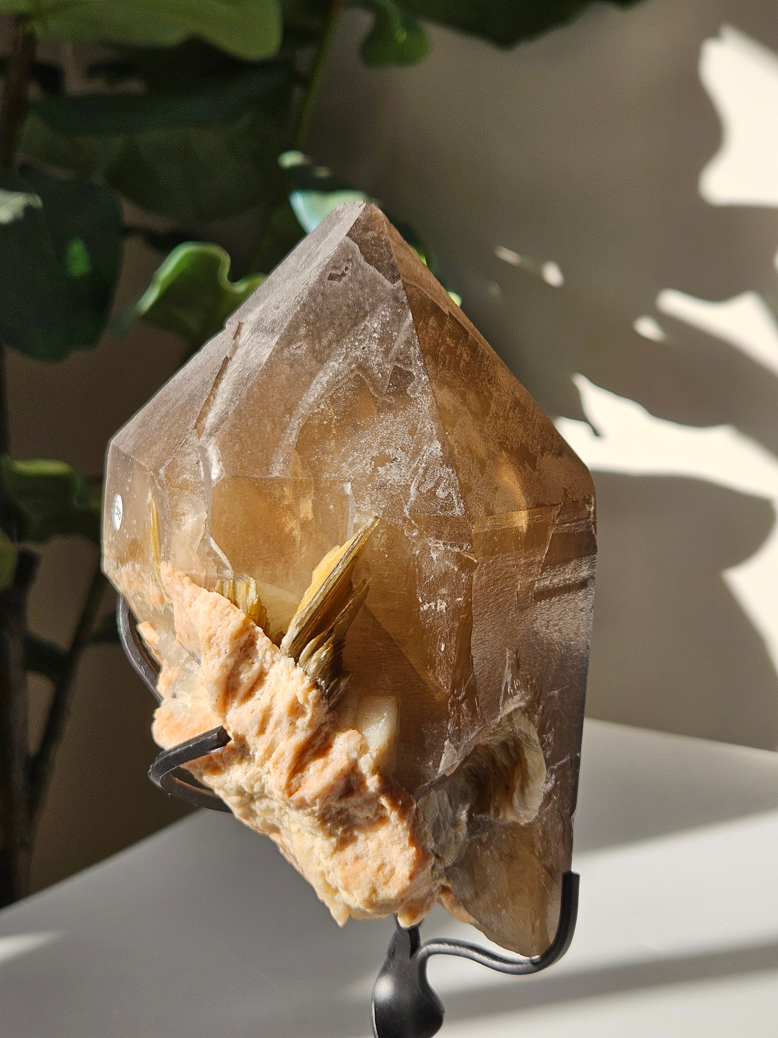 Smoky Quartz x Mica on Stand
