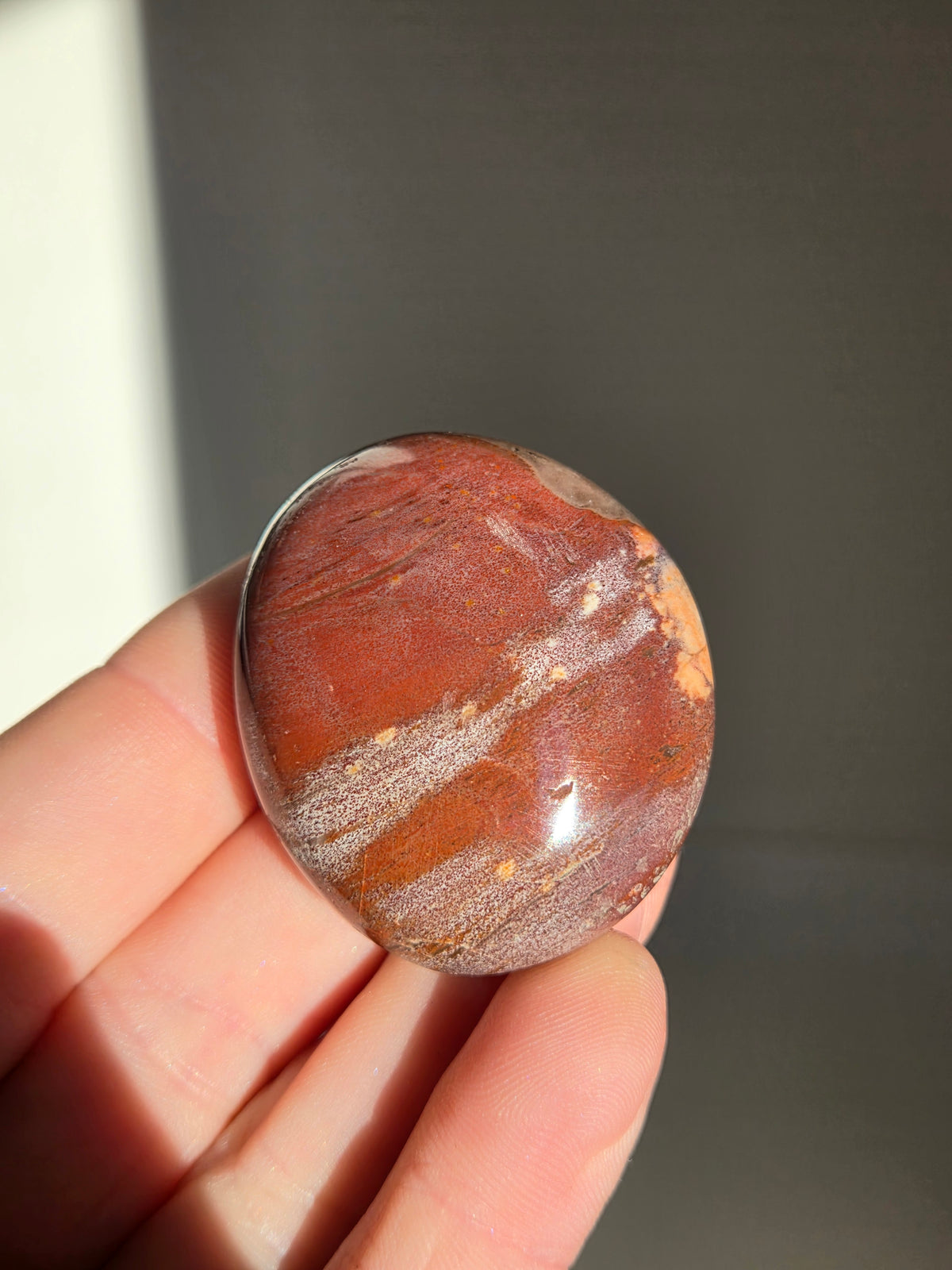 Petrified Wood Palmstone 002