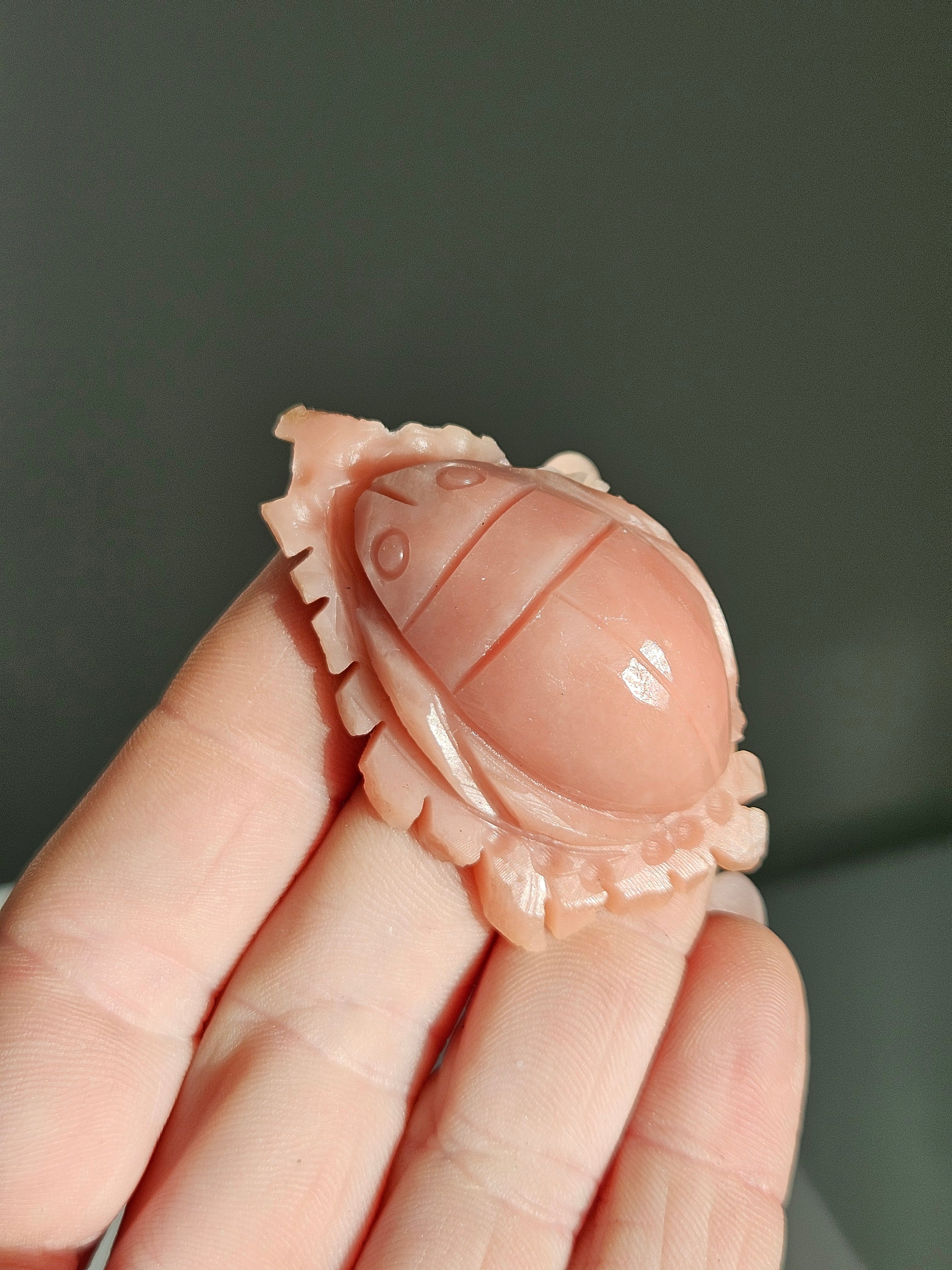 Pink Opal Sea Carving 001