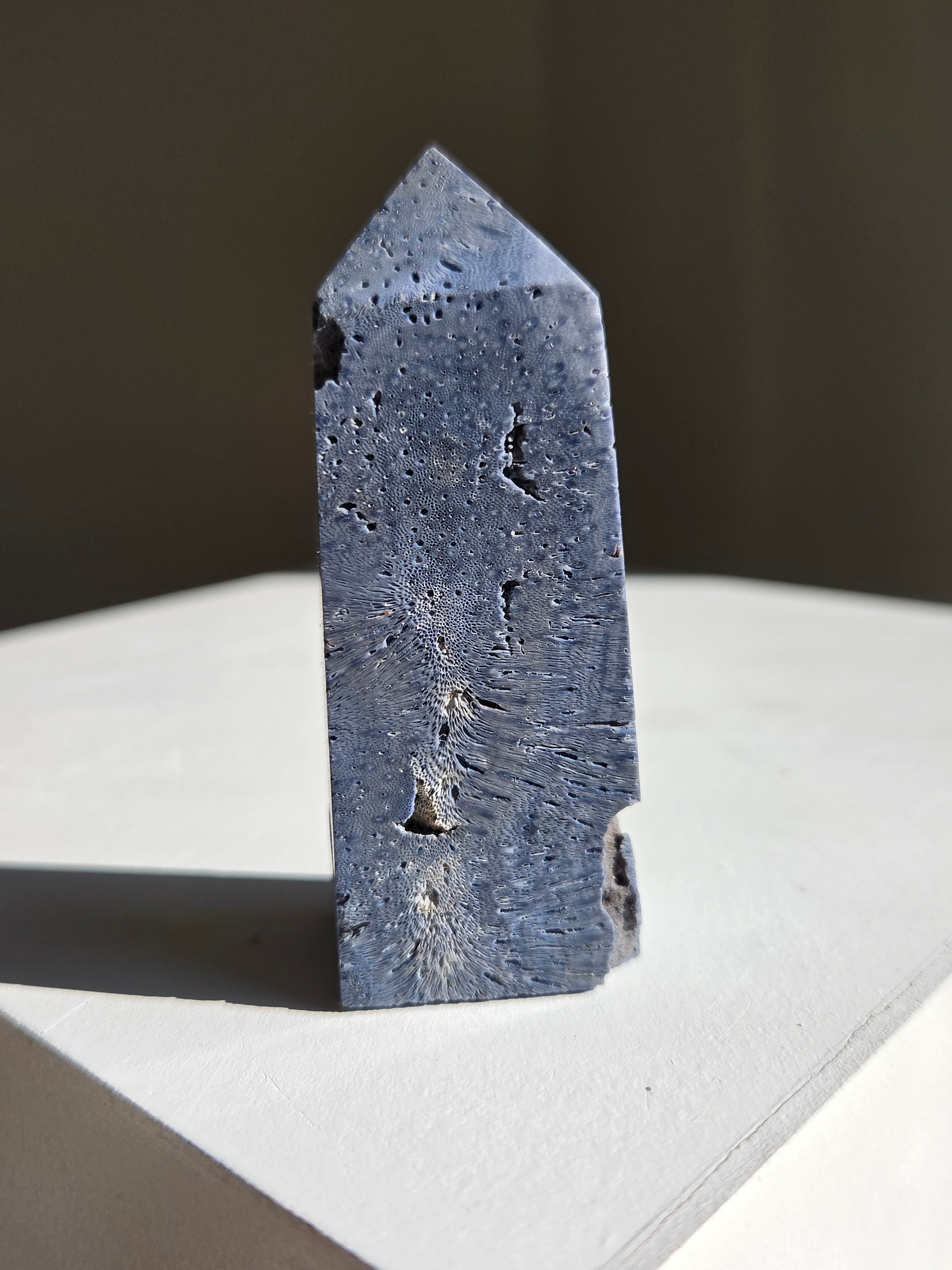 Blue Coral Tower 005