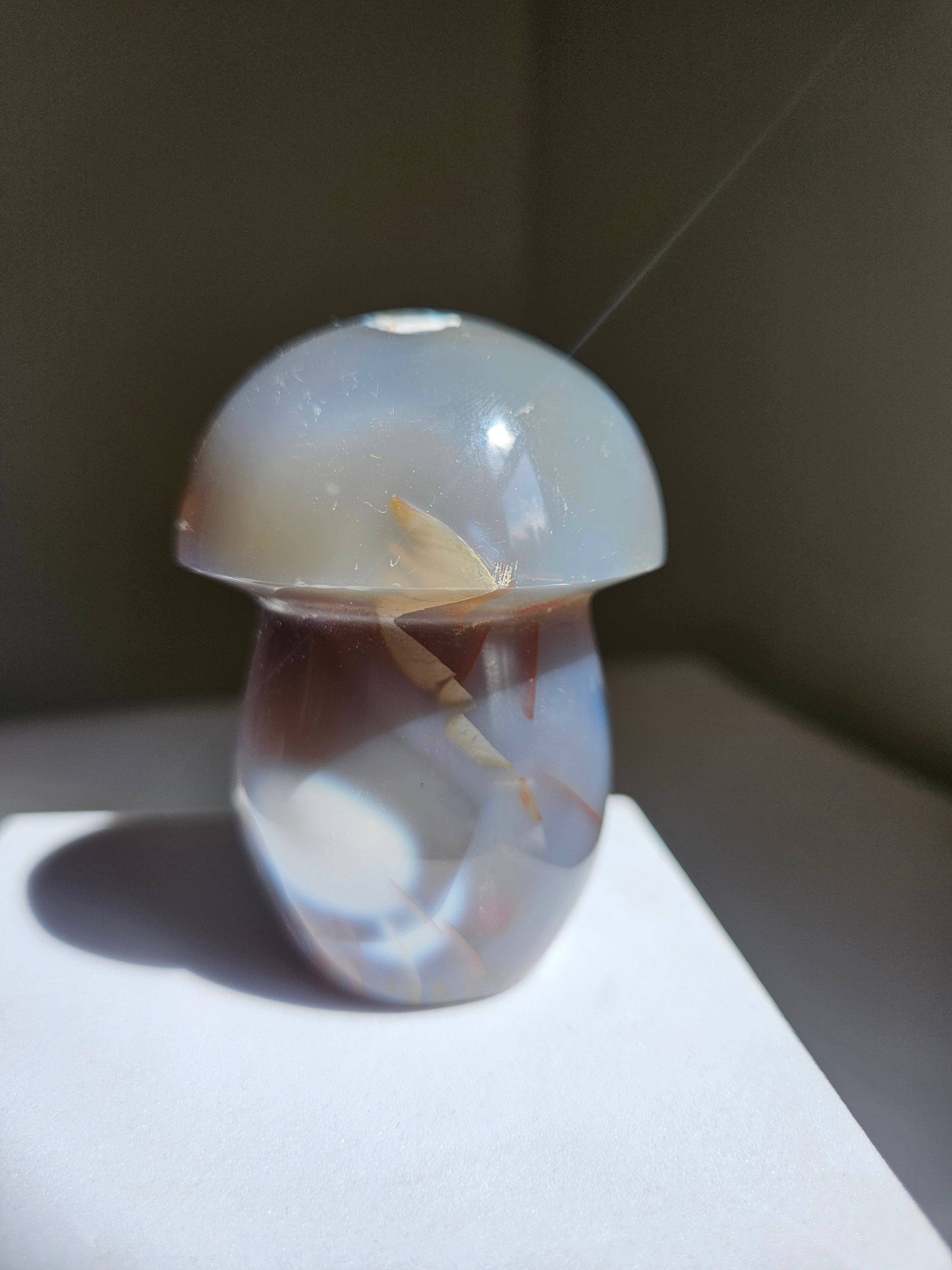 Orca Agate Mushroom 011