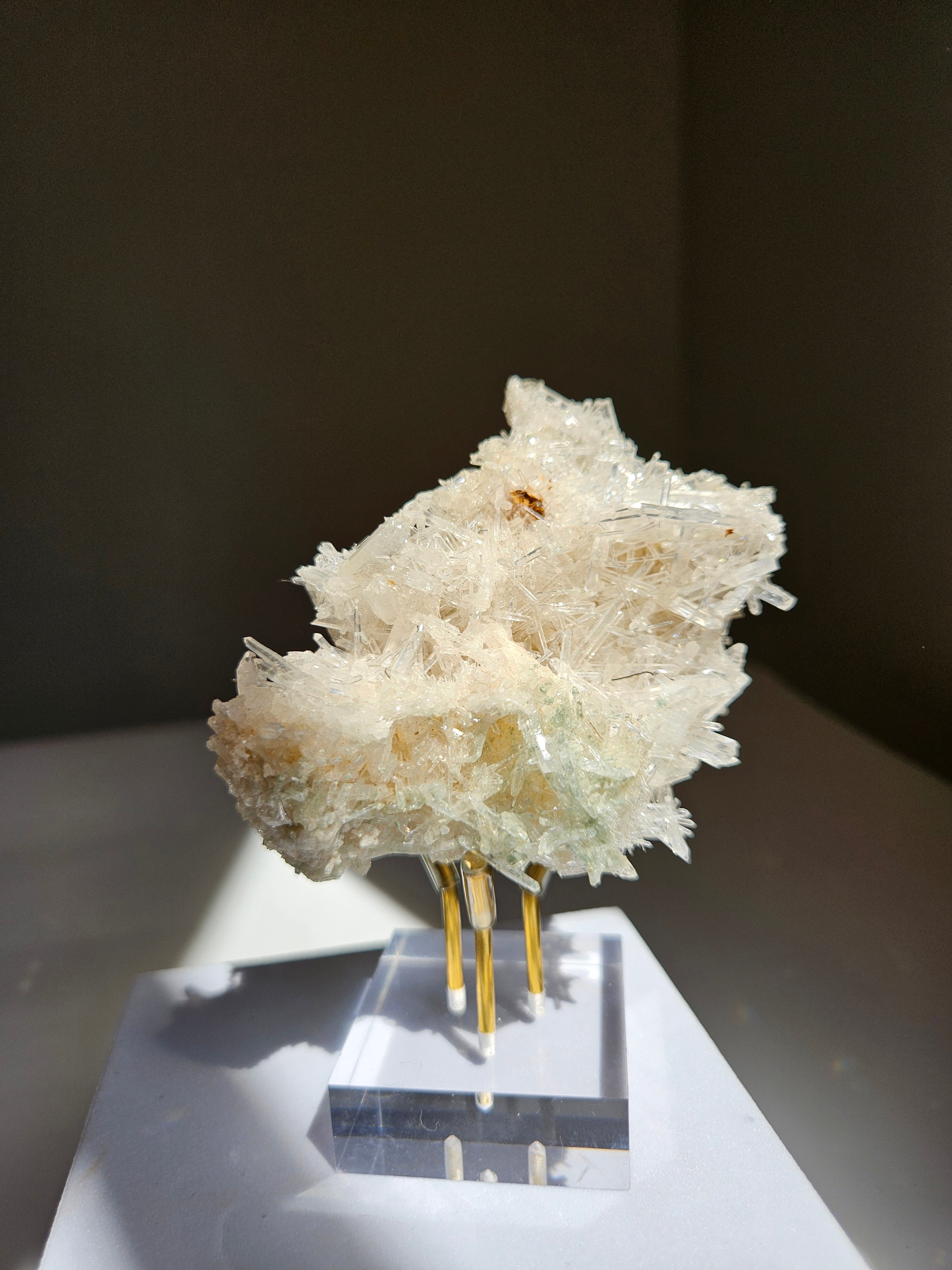 Colombian Lemurian 004