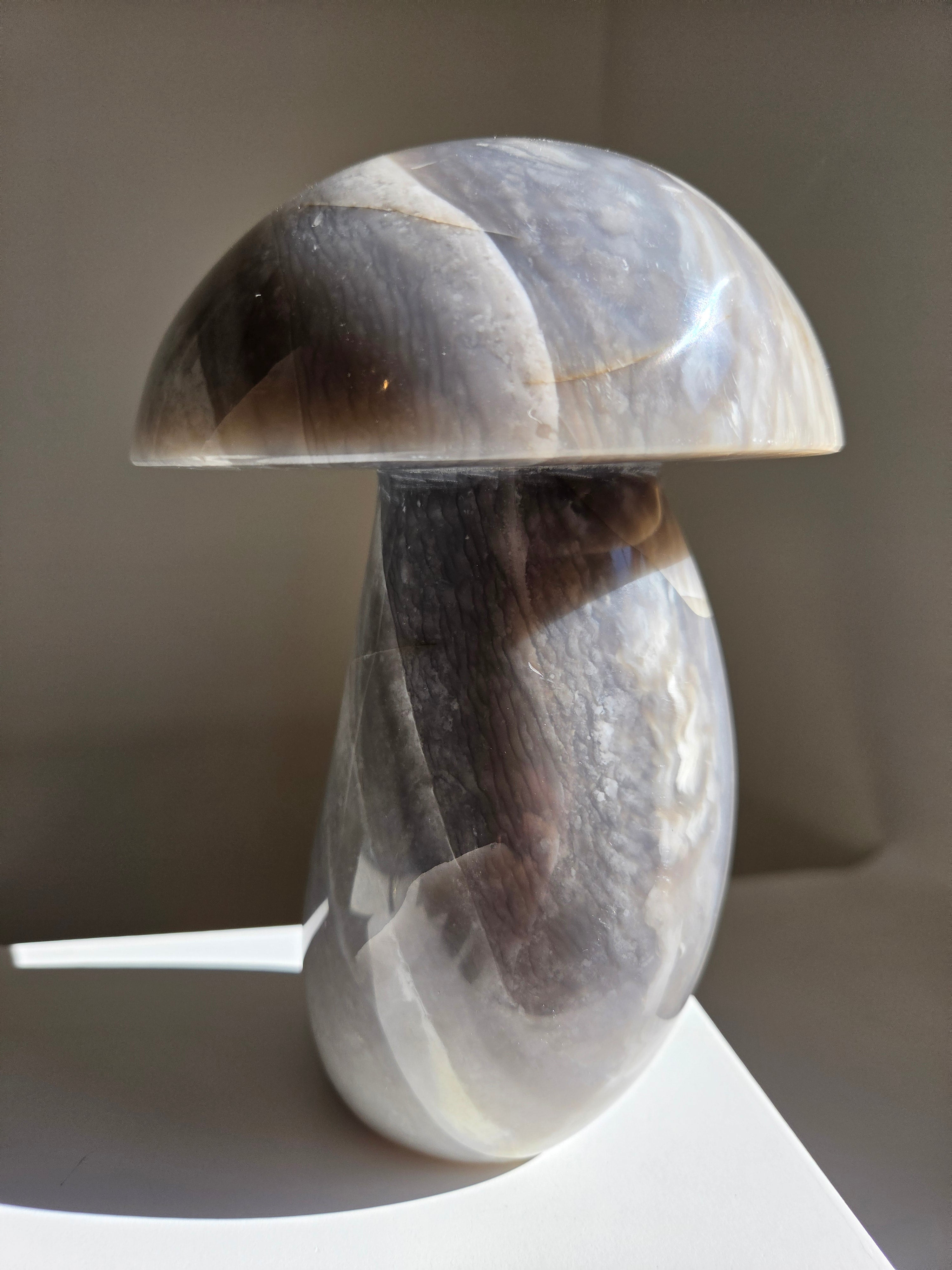 Sea Jasper Mushroom 014