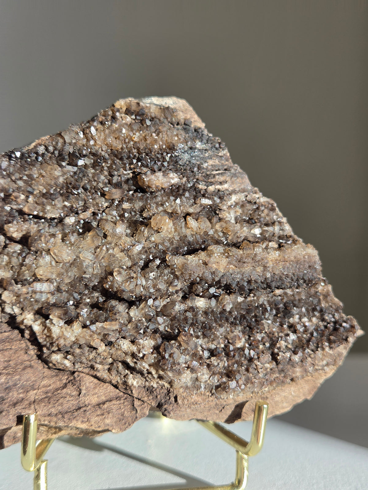 Smoky Quartz on Fossilized Wood 006