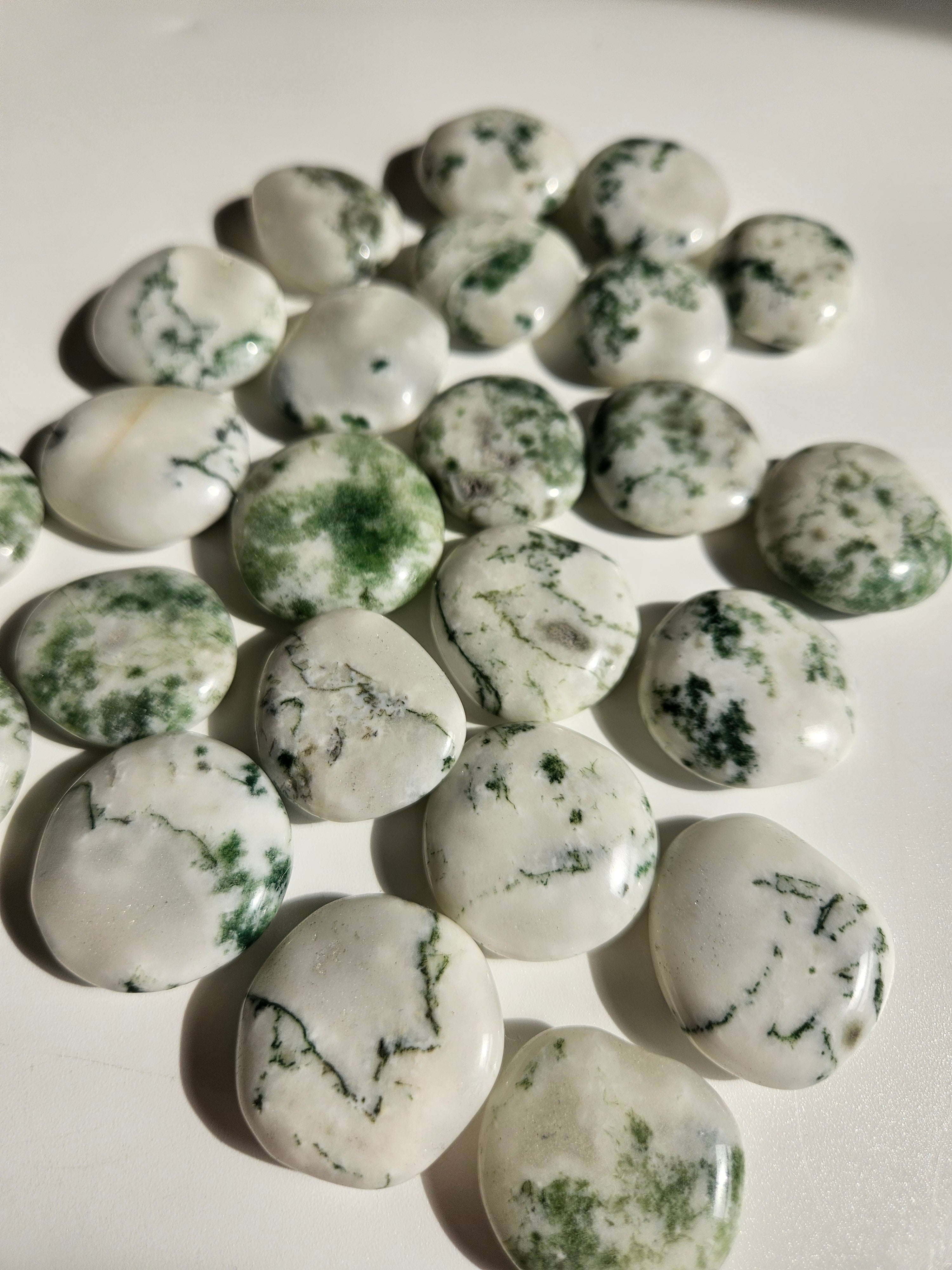 Tree Agate Mini Flat