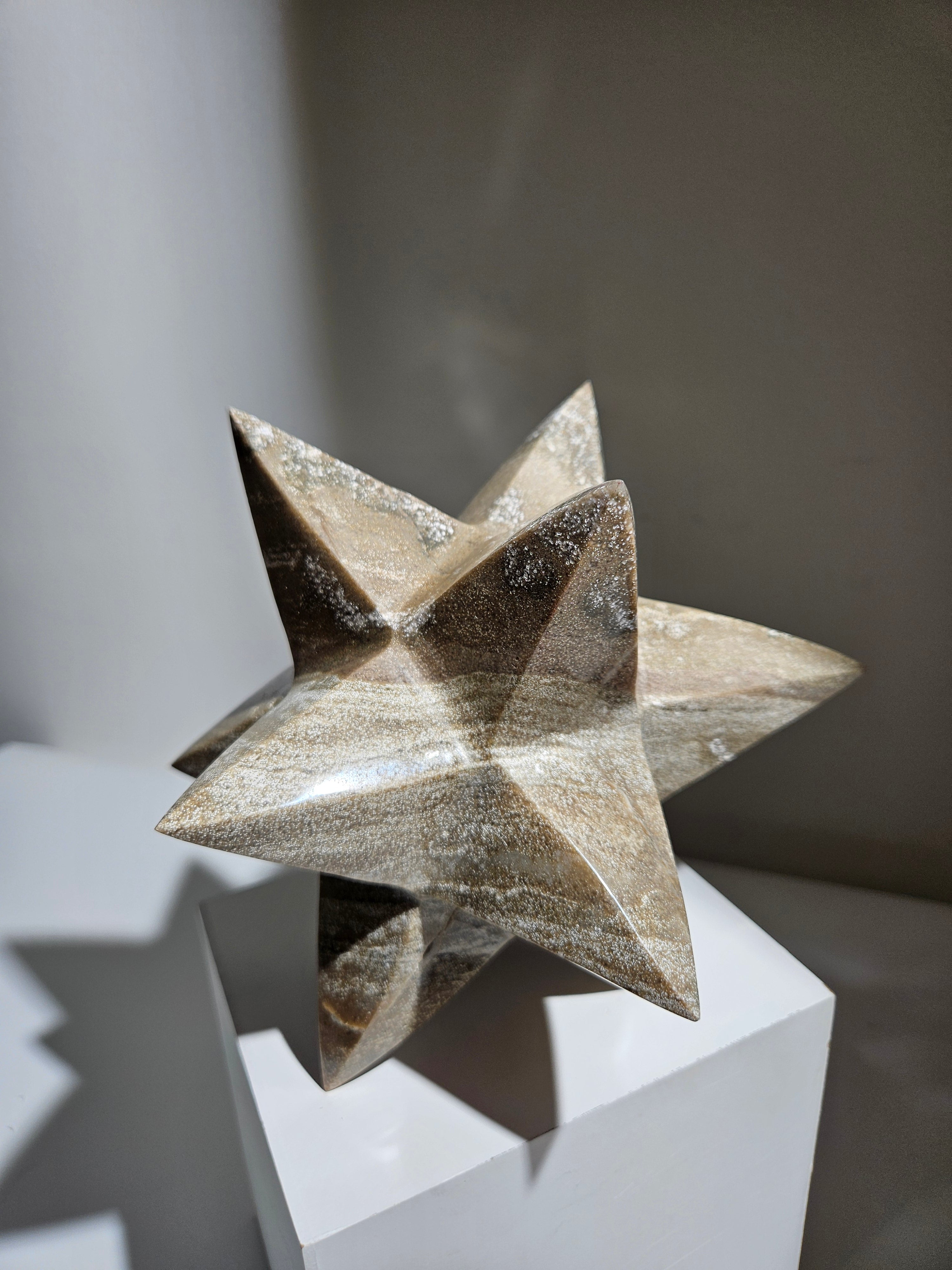 Sea Jasper Asteroid 004