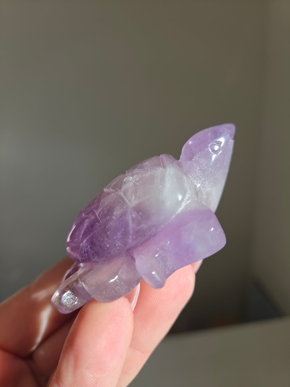 Amethyst Turtle 002
