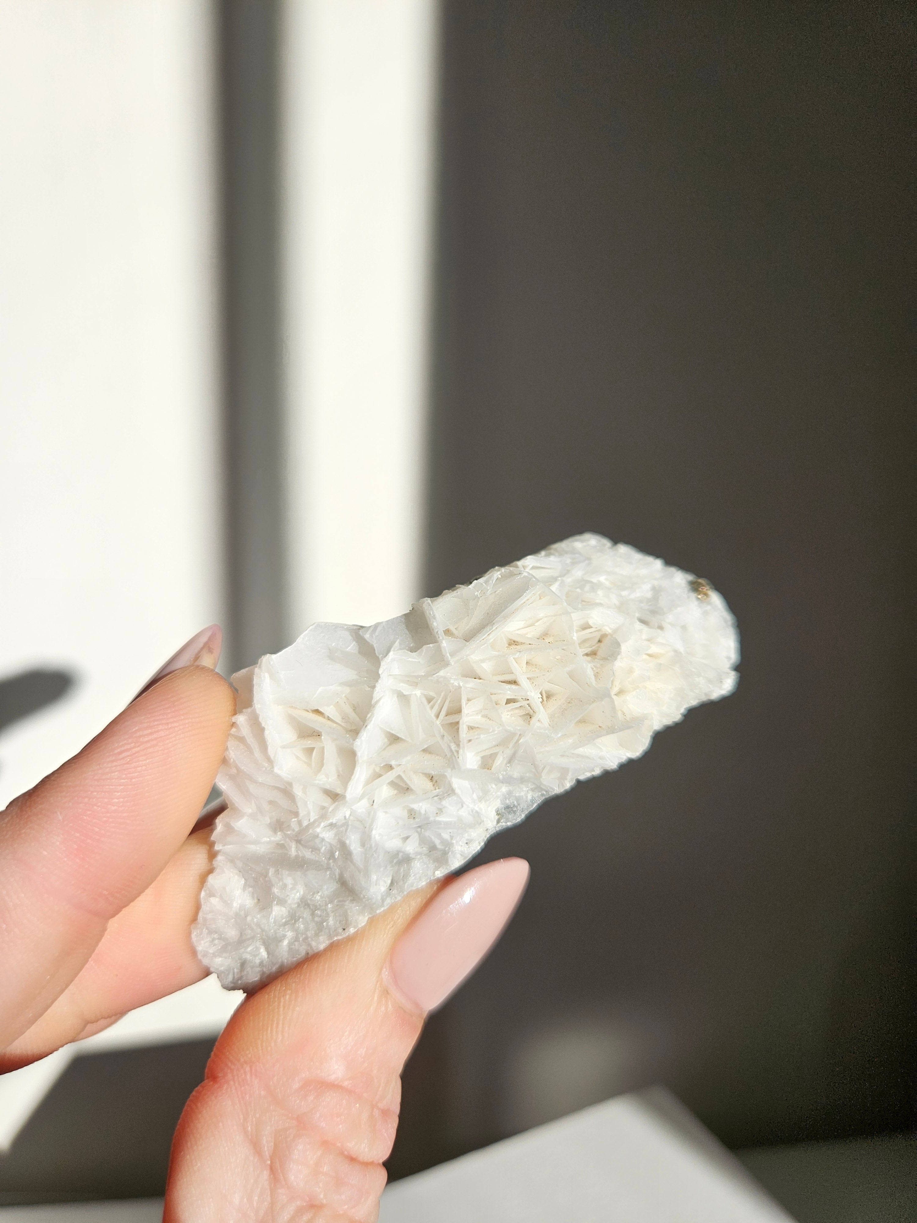 Bladed 'Rose' Calcite 001