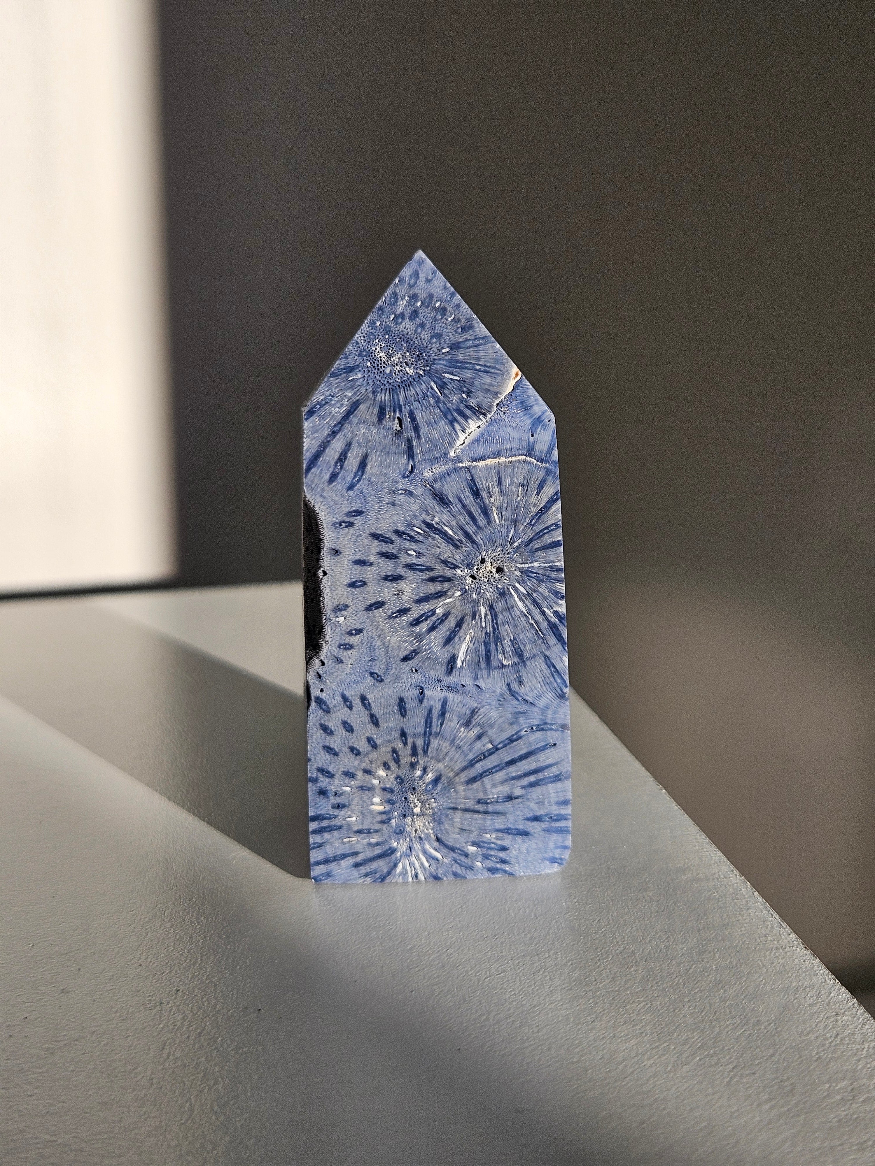 Blue Coral Tower 005