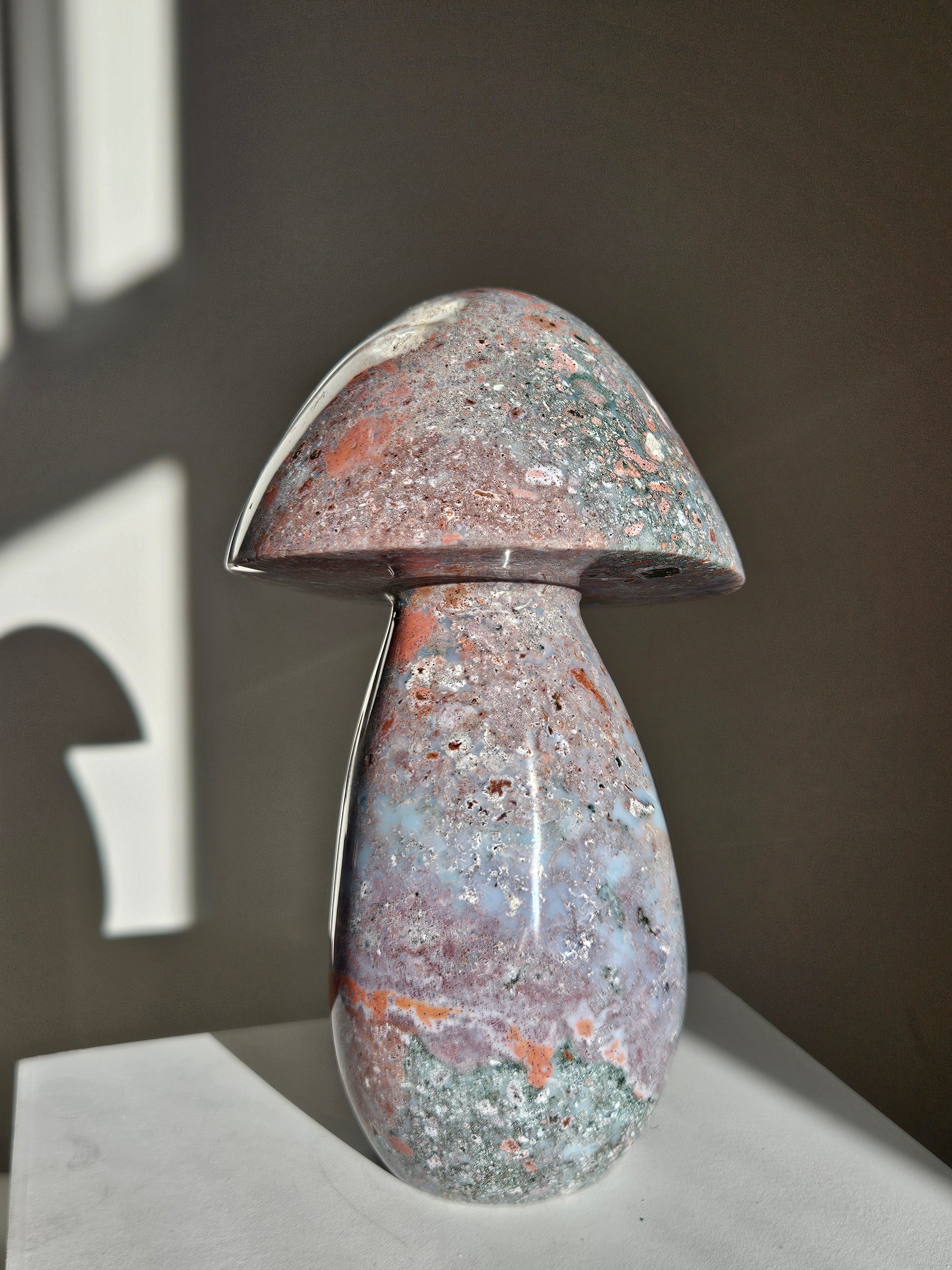 Sea Jasper Mushroom 009