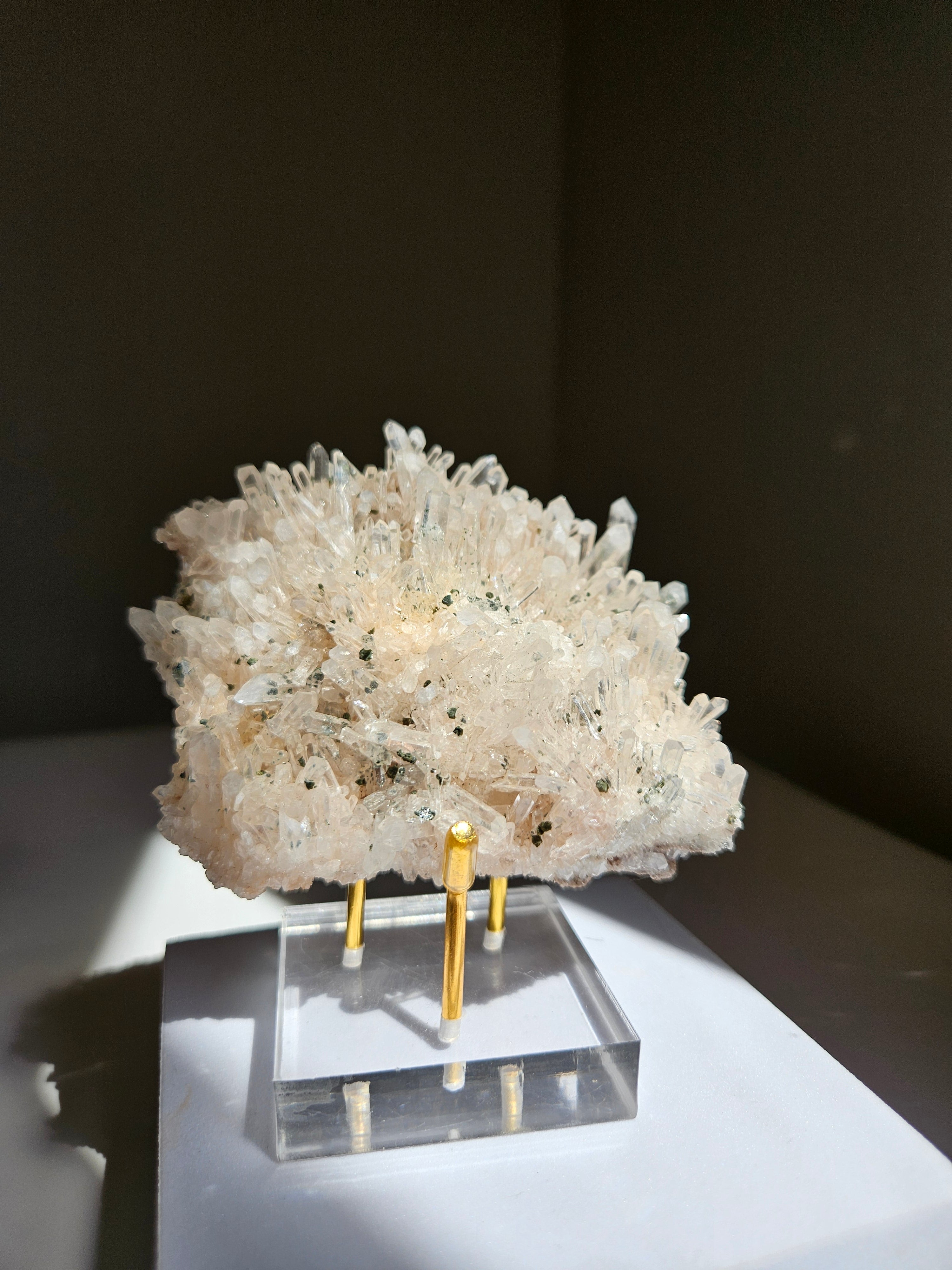 Colombian Lemurian 006