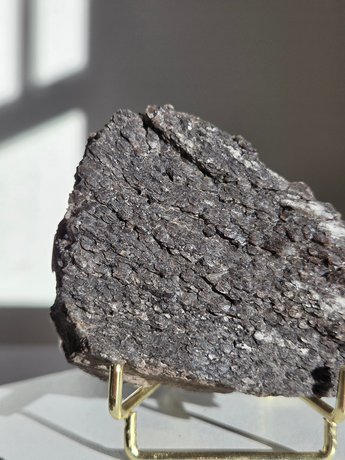 Smoky Quartz on Fossilized Wood 003