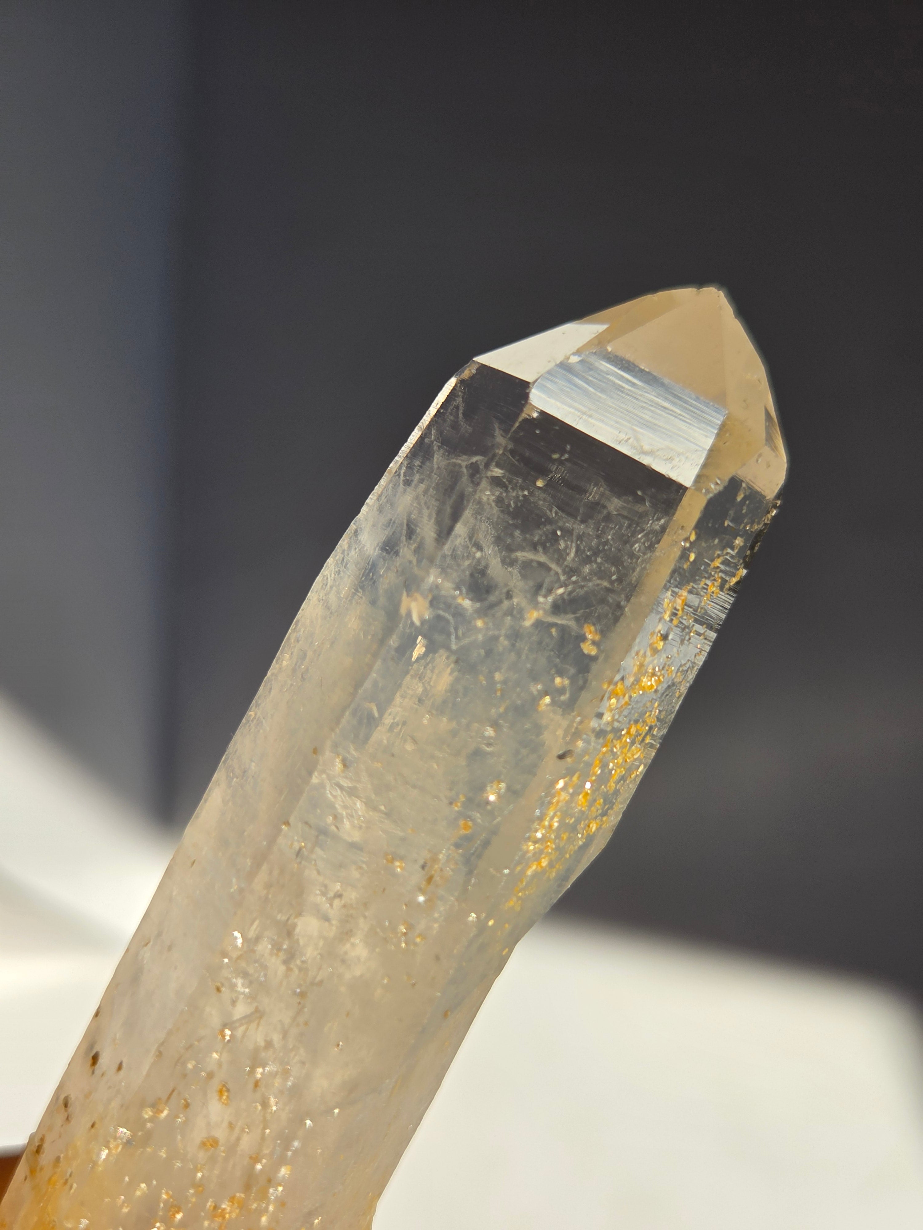 Blue Smoke Colombian Lemurian 004
