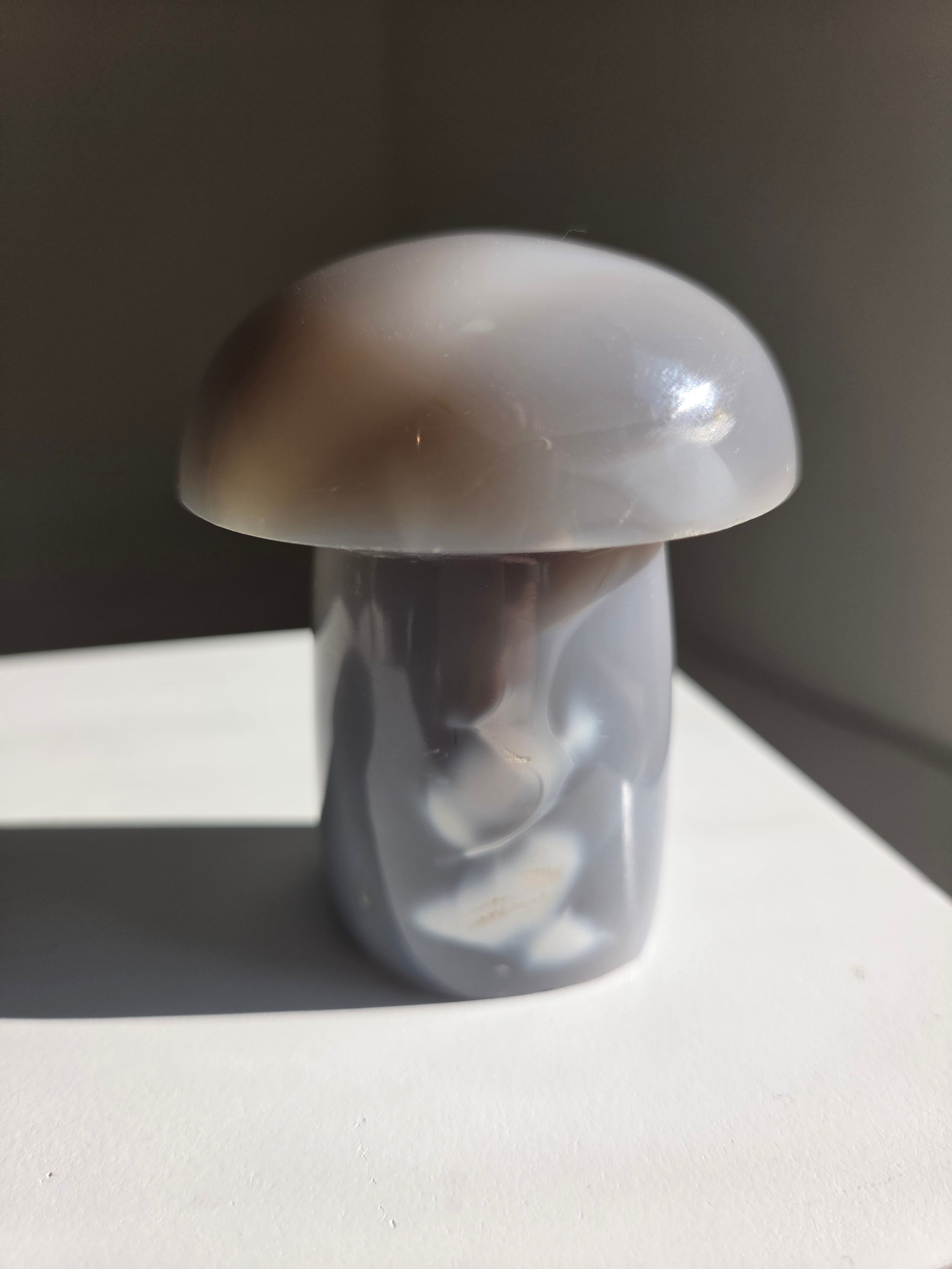 Orca Agate Mushroom 001