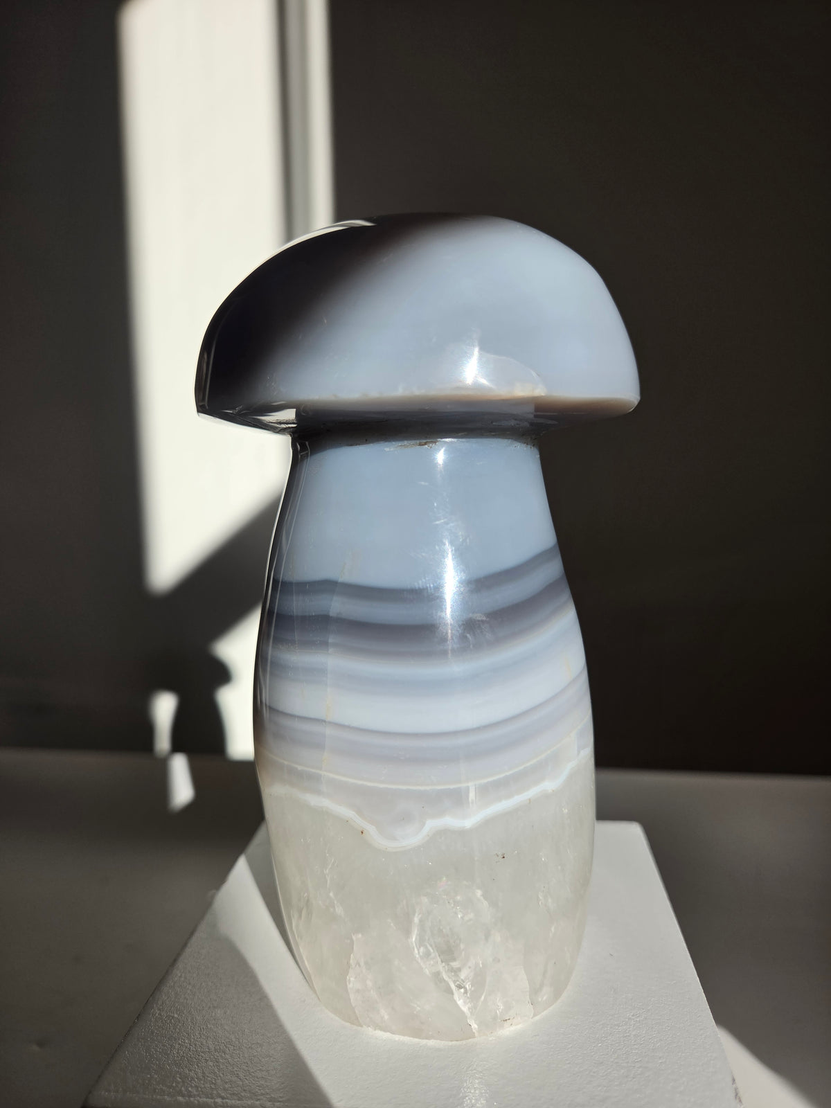 Banded Agate Mushroom 002
