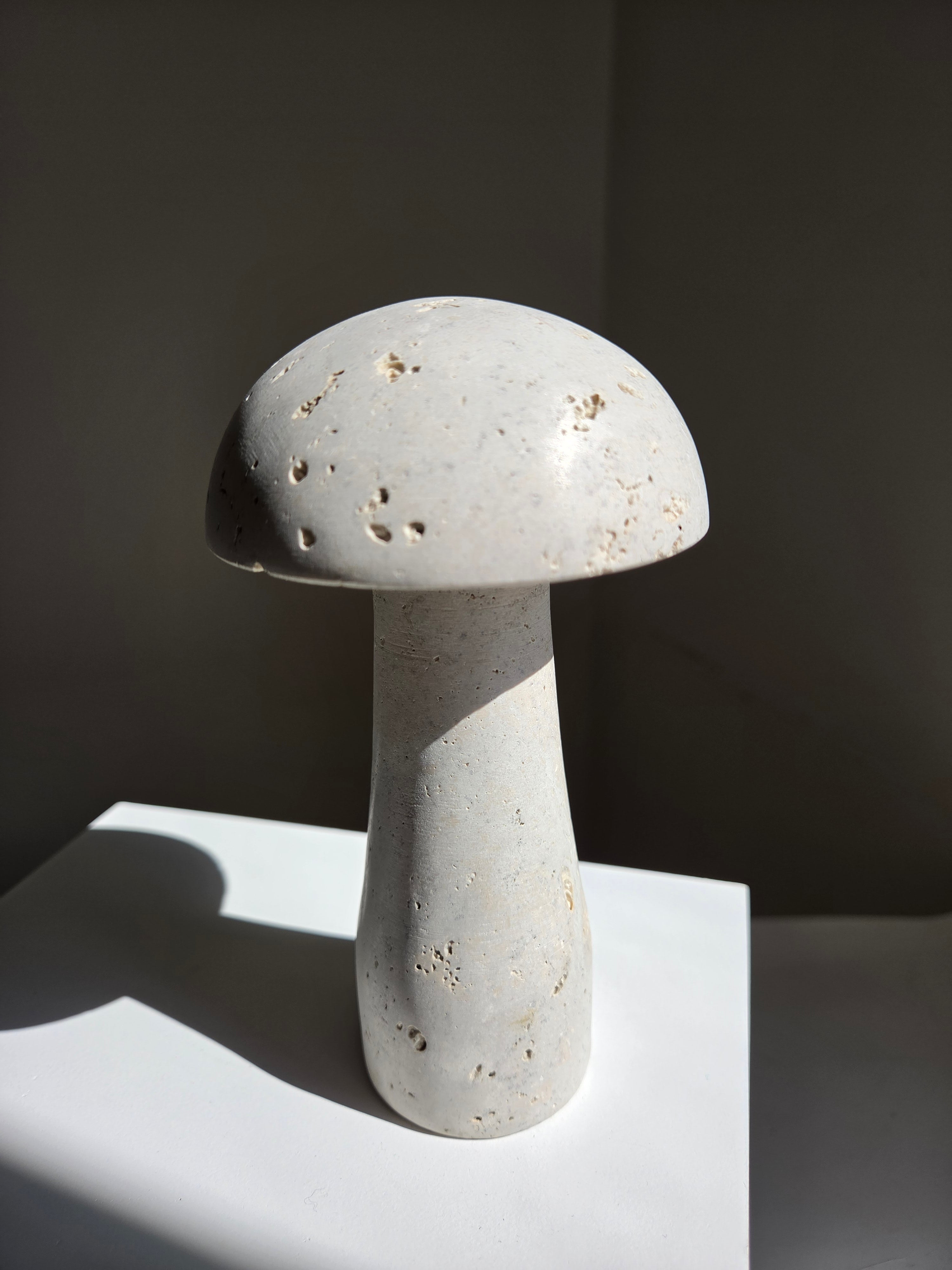 Travertine Mushroom | intuitively selected