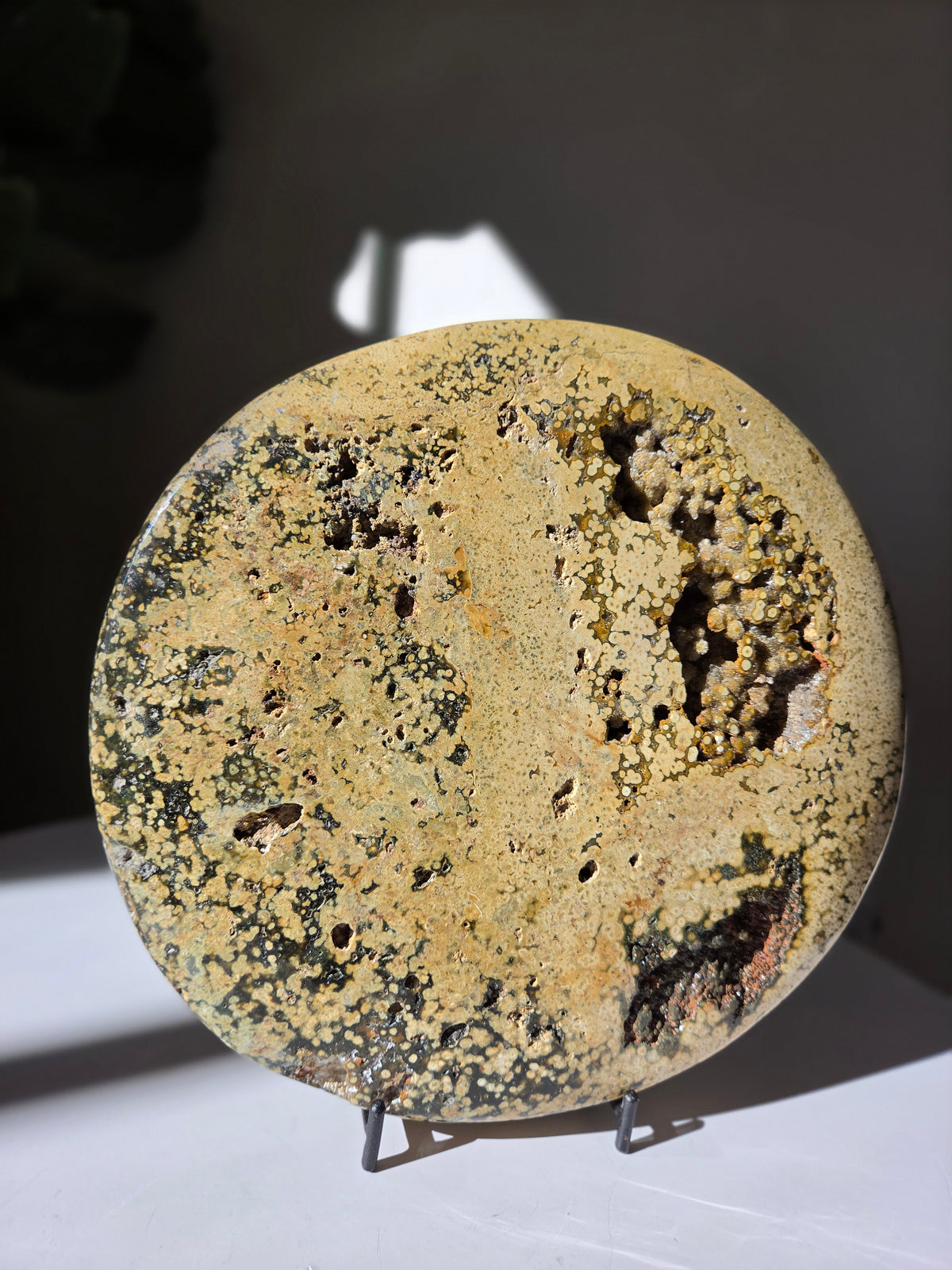 Sea Jasper Slab 013