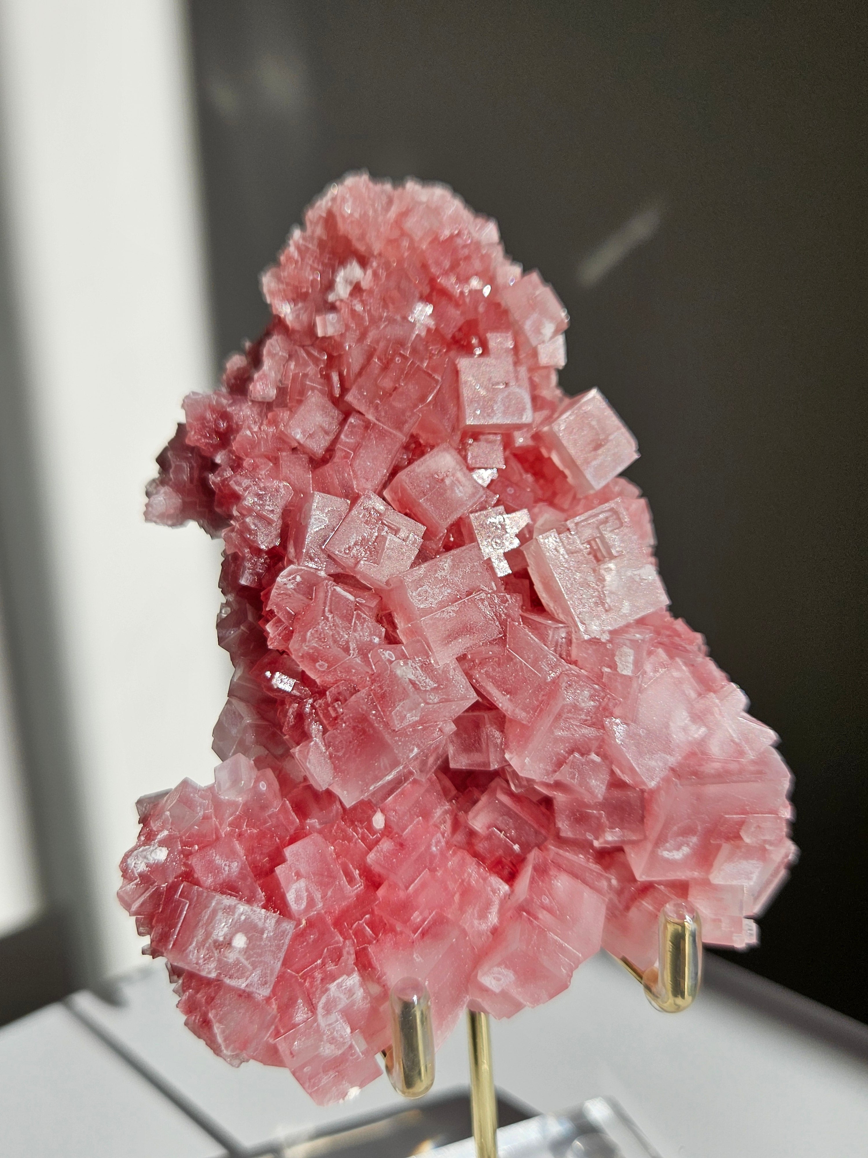 Pink Halite 008