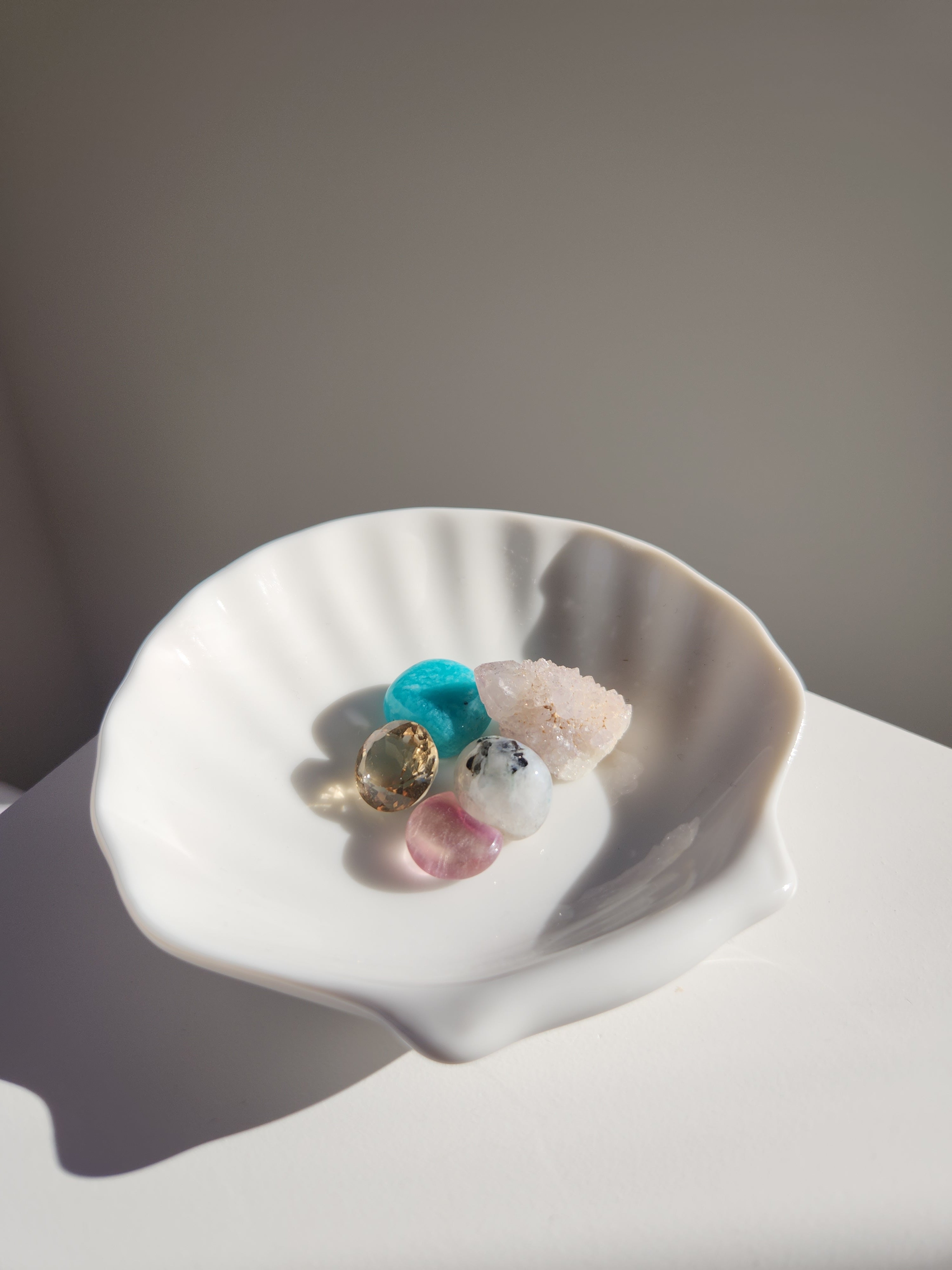 Shell Dish