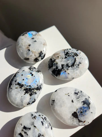 Palmstones & Shivas