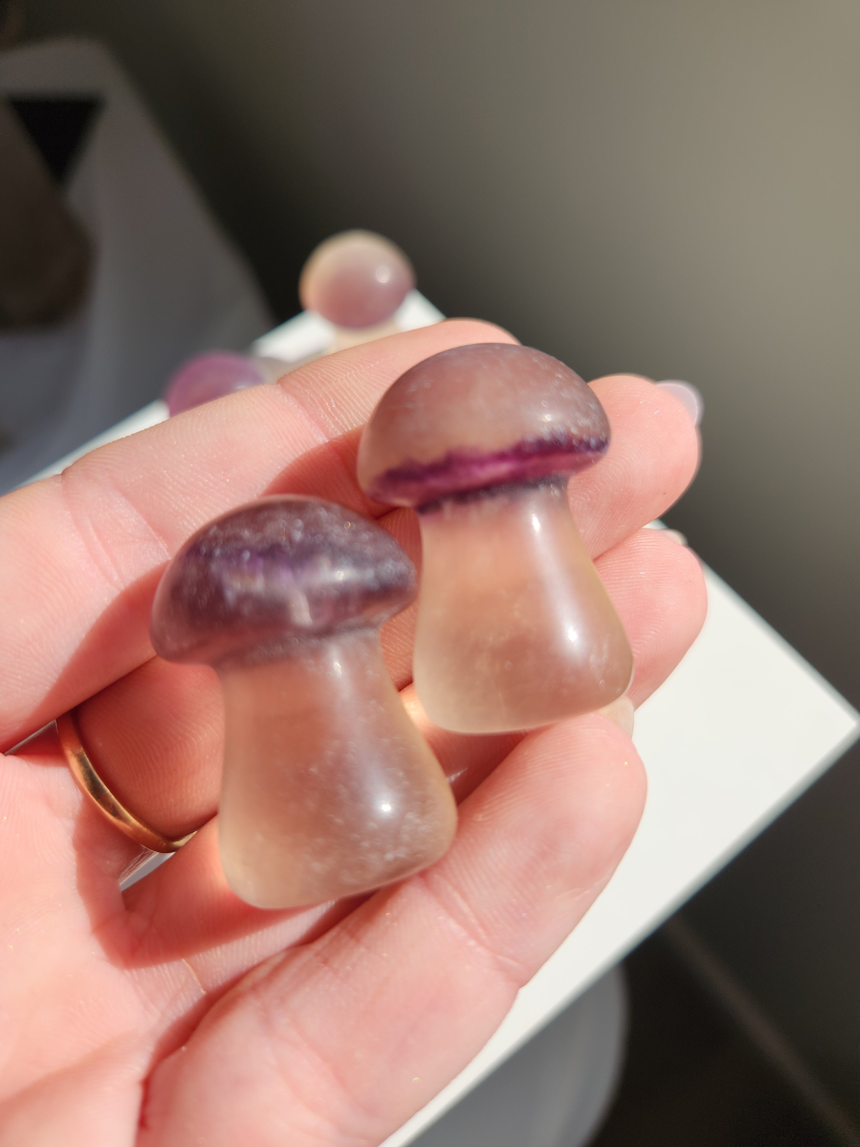 Fluorite Mushrooms