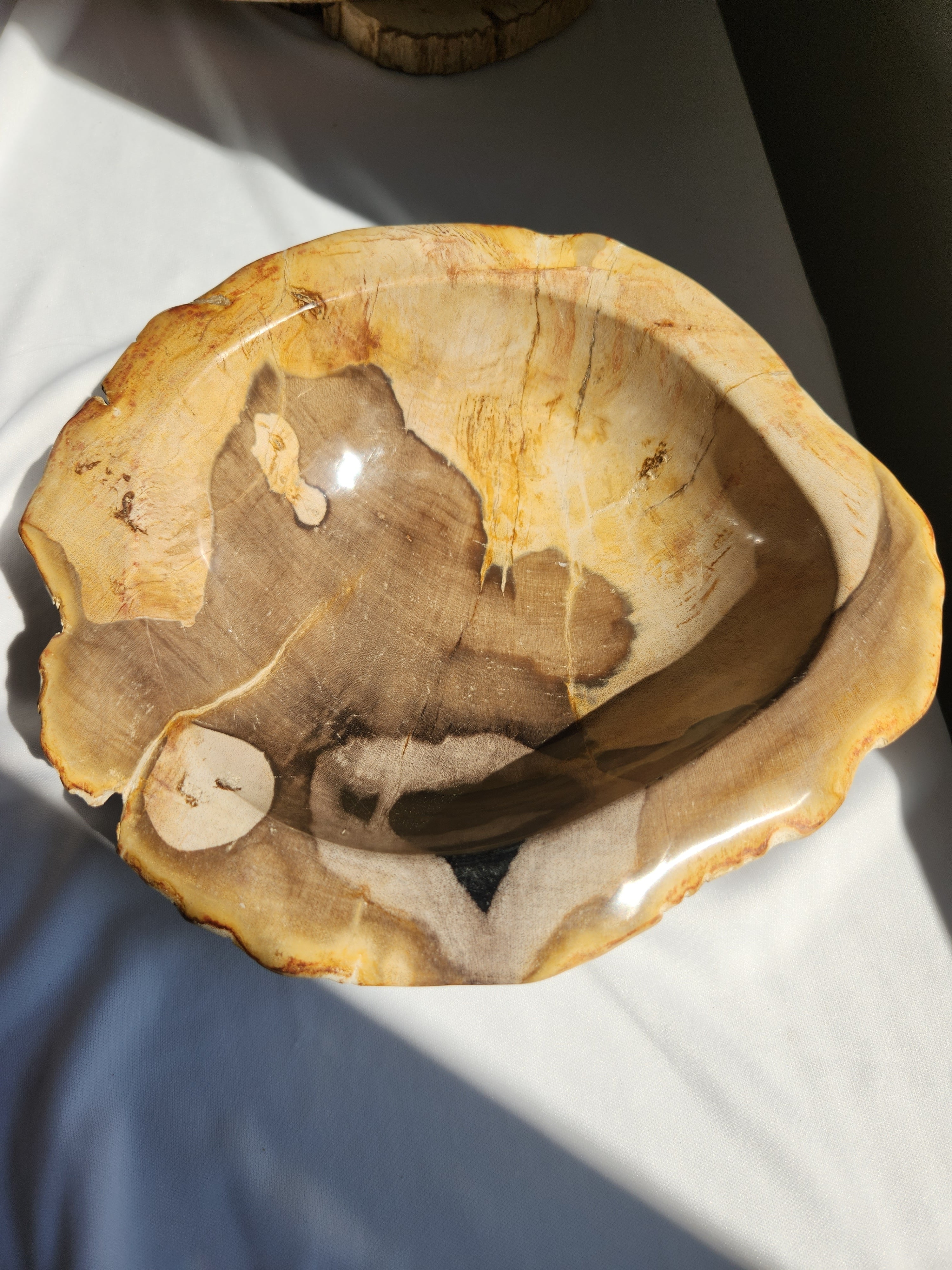 Petrified Wood Bowl 004