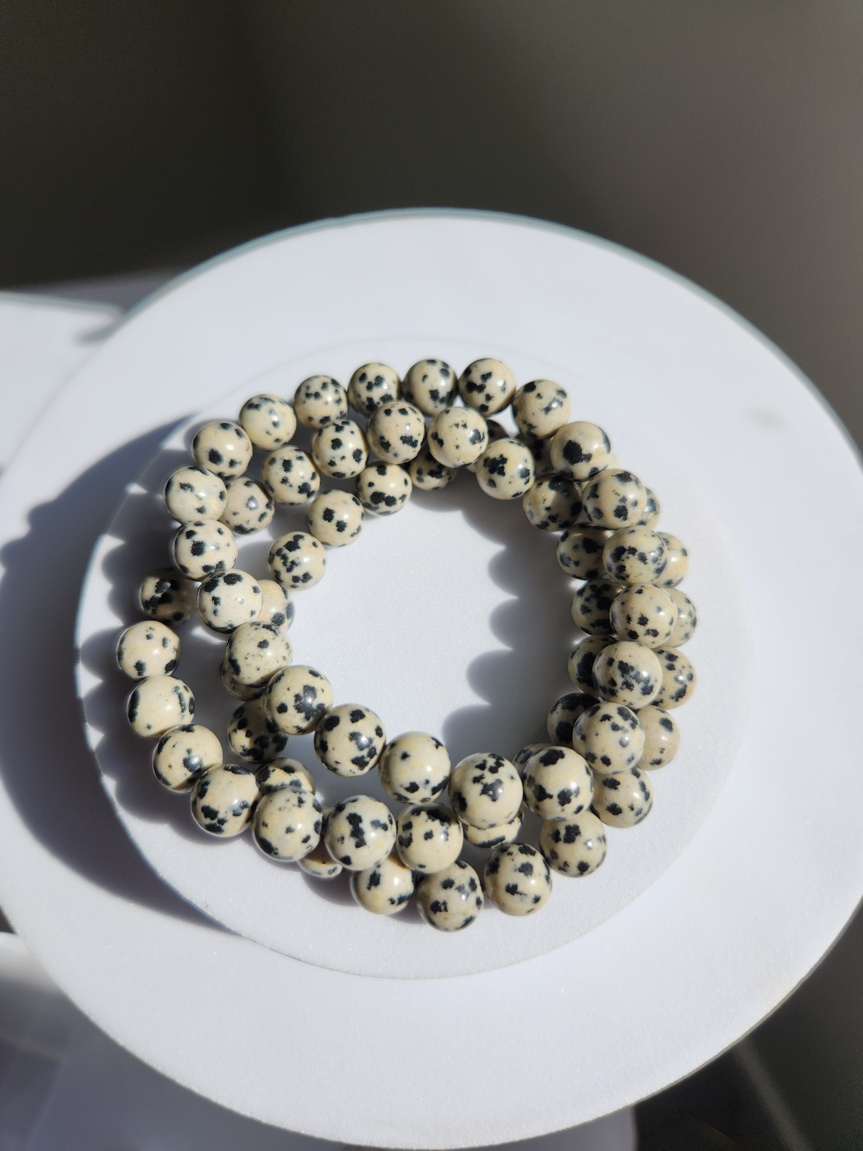 Dalmation Jasper Bracelet | 8mm