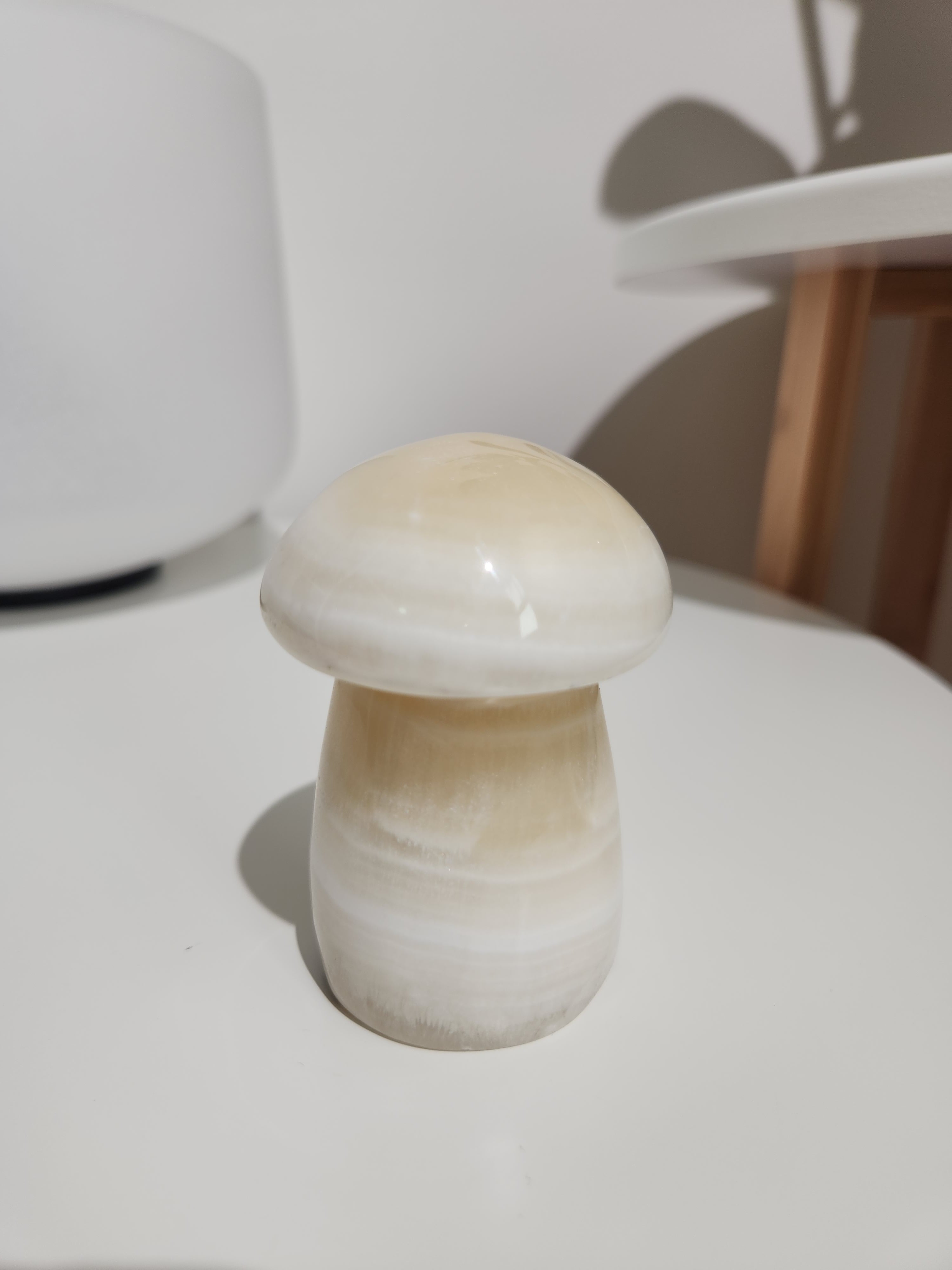 Onyx Mushroom 001