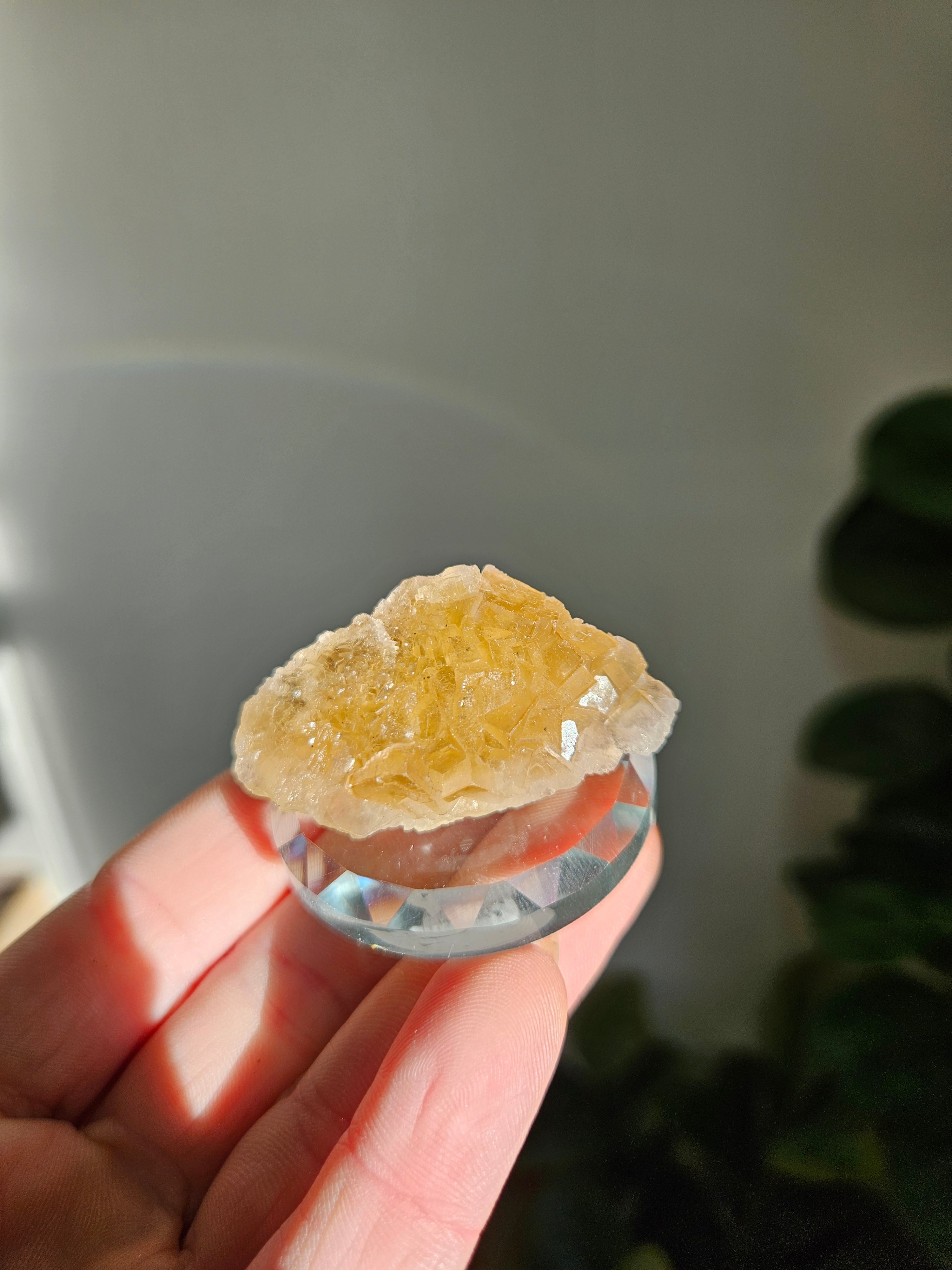 Yellow Fluorite 006