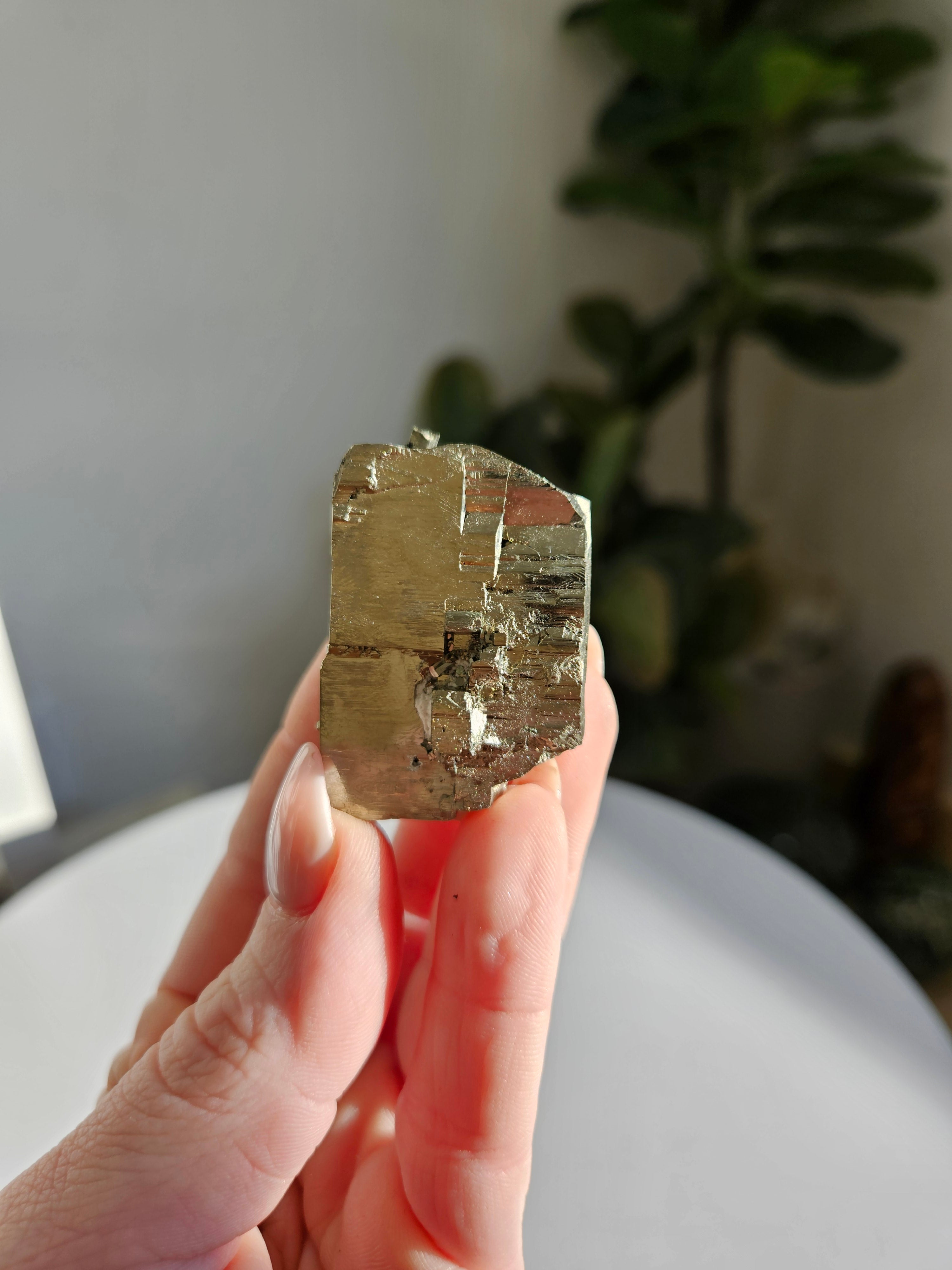 Pyrite Cluster 001