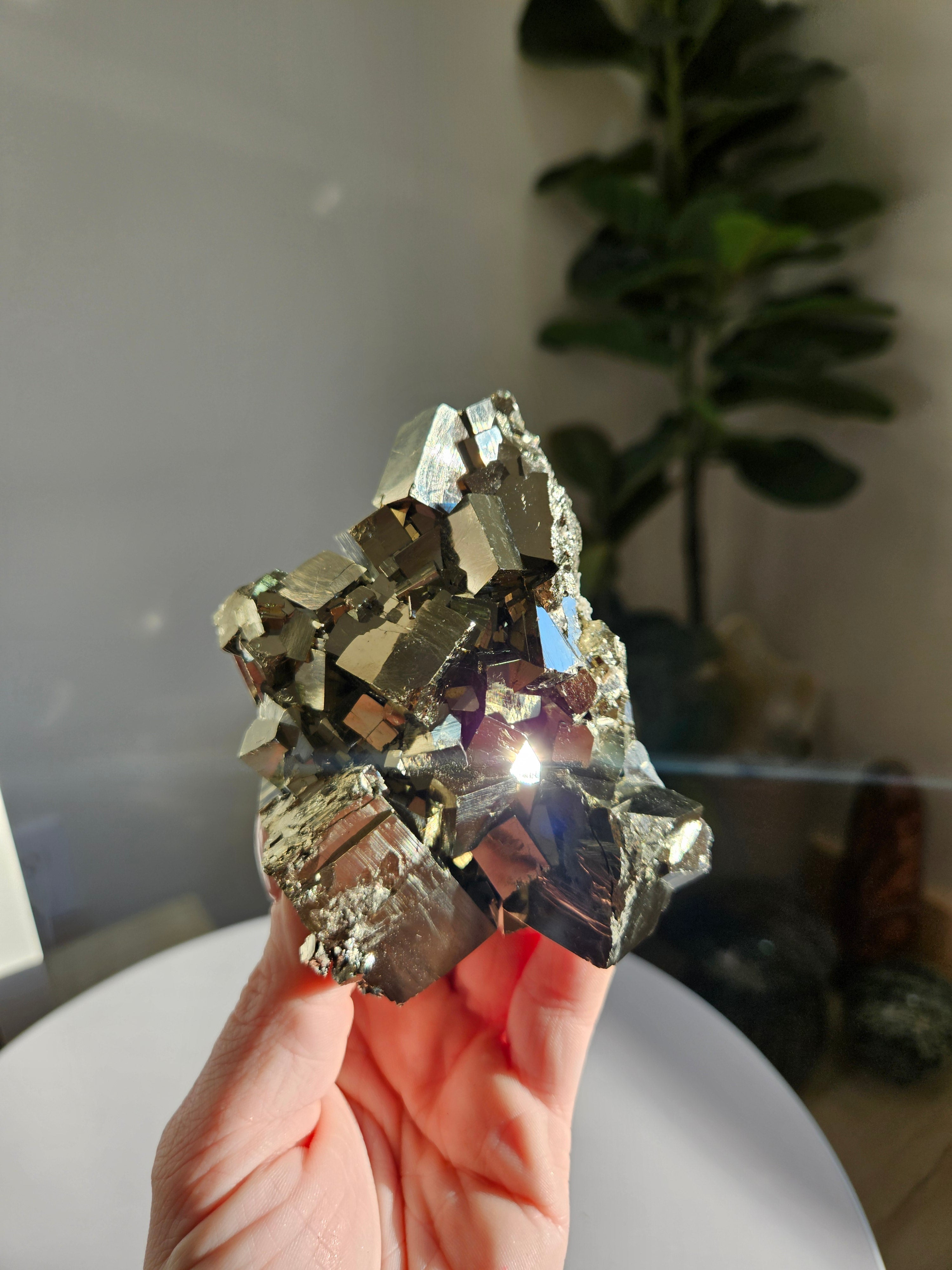 Pyrite Cluster 004