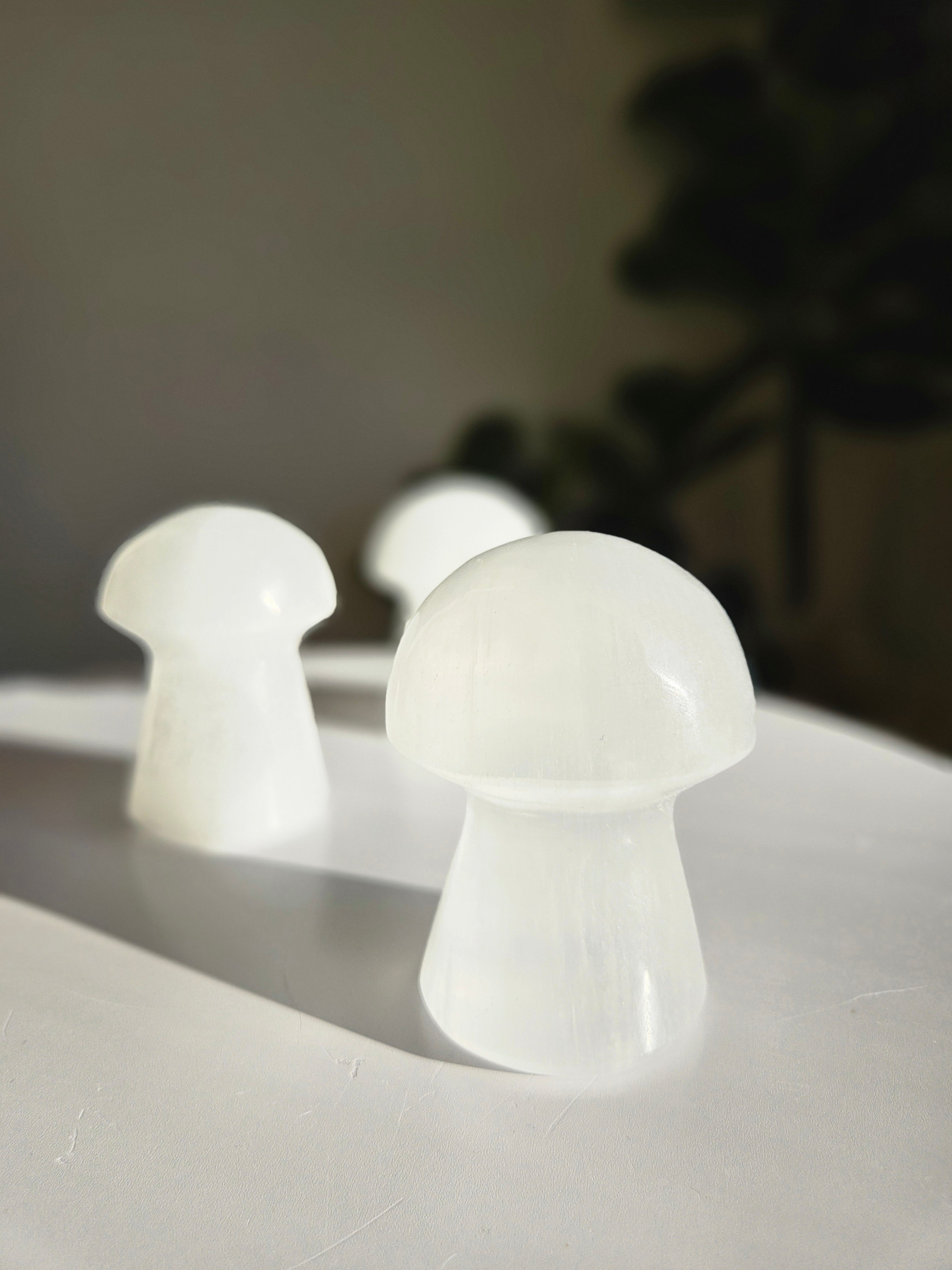 Selenite Mushroom