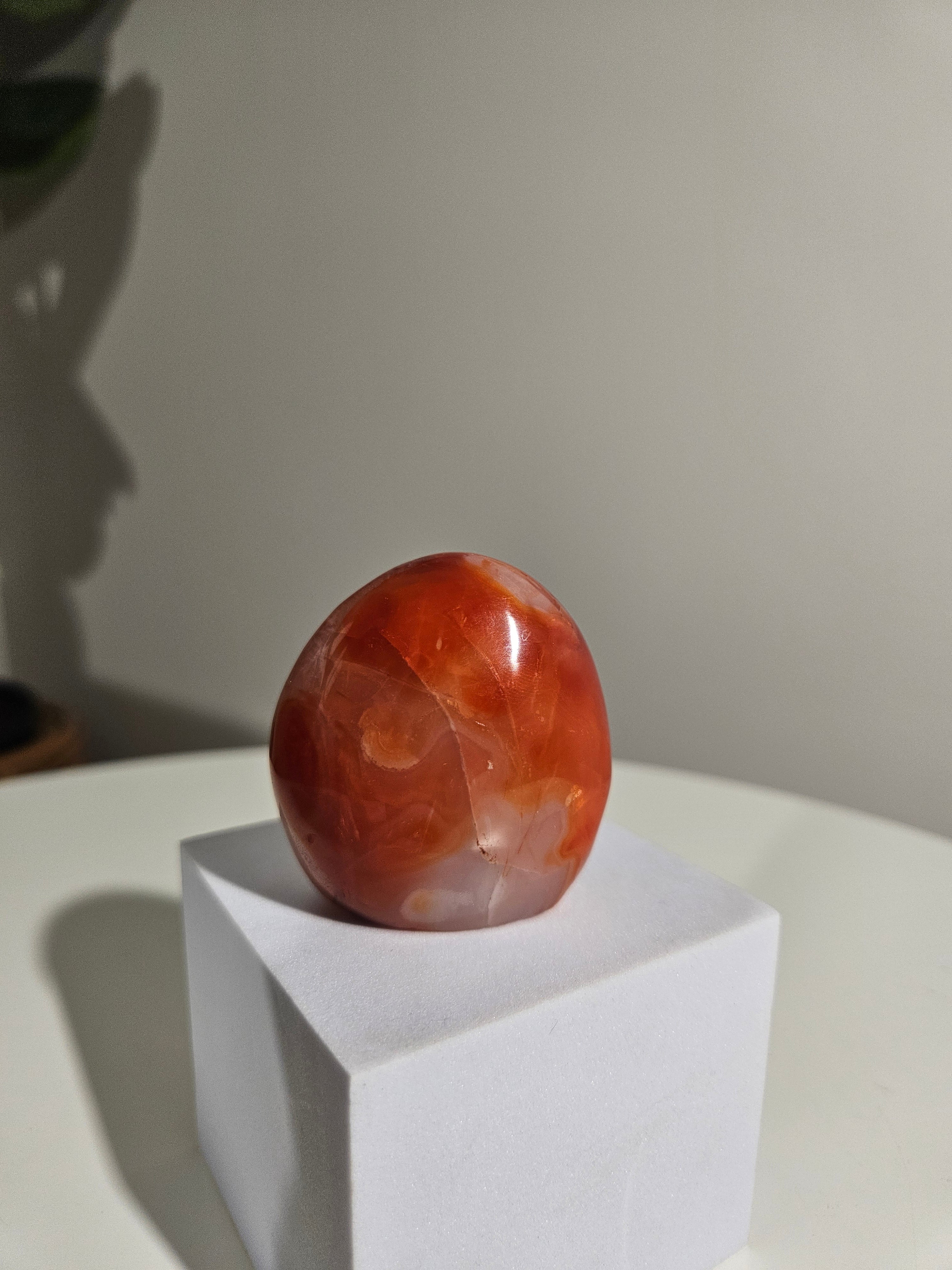 Carnelian Freeform 005