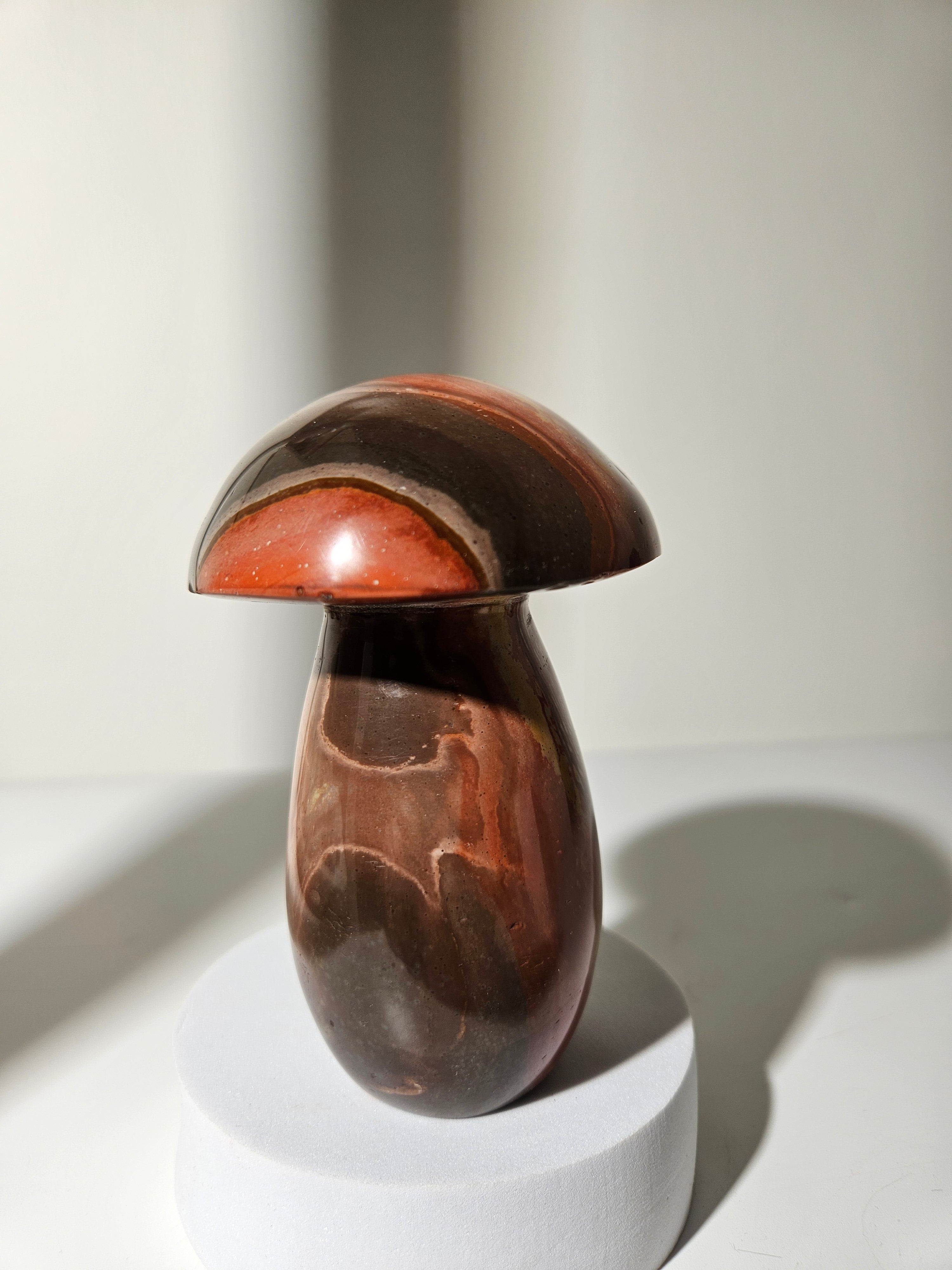 Polychrome Jasper Mushroom 007