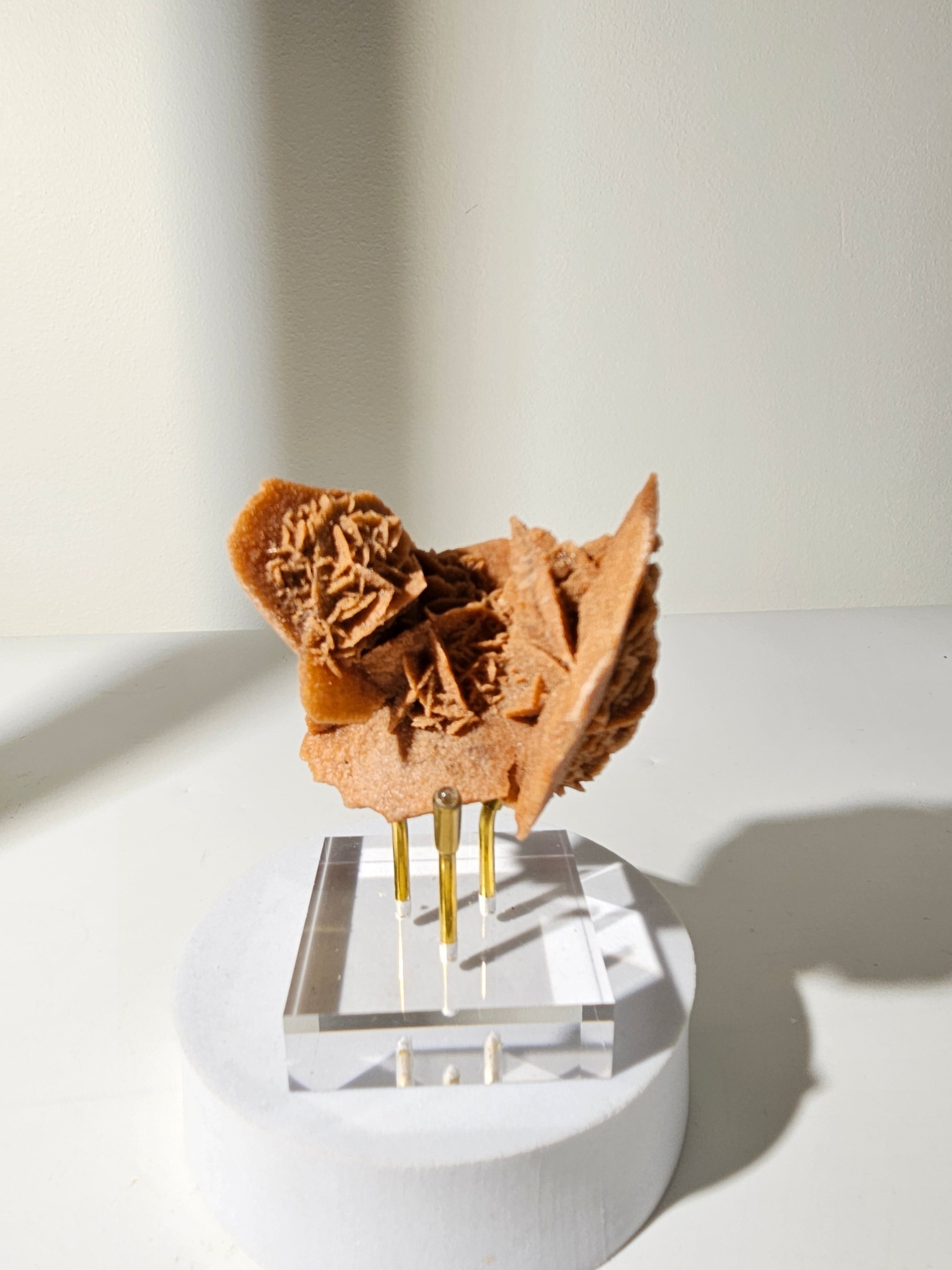 Desert Rose Gypsum 009