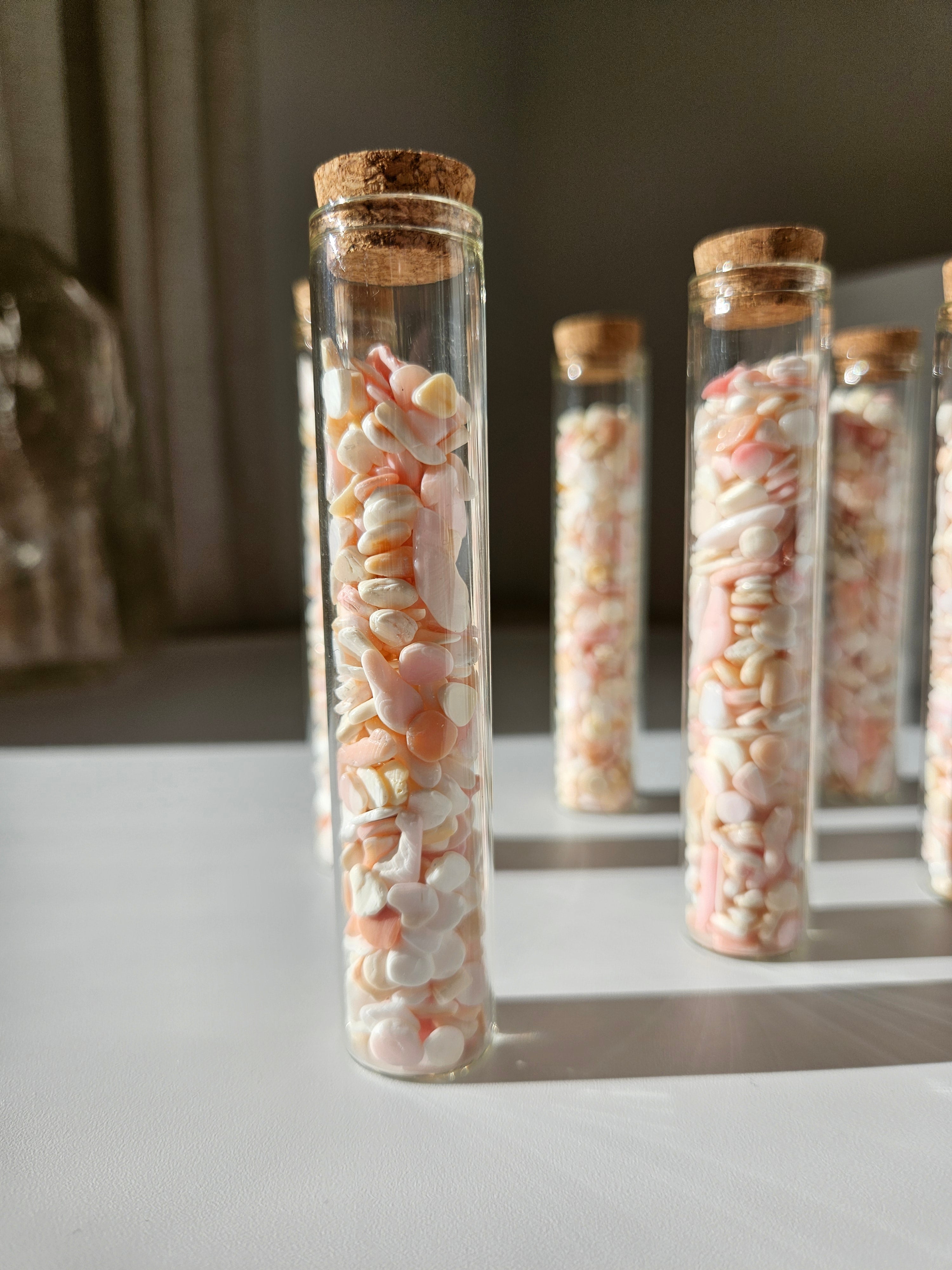 Conch Shell Vial