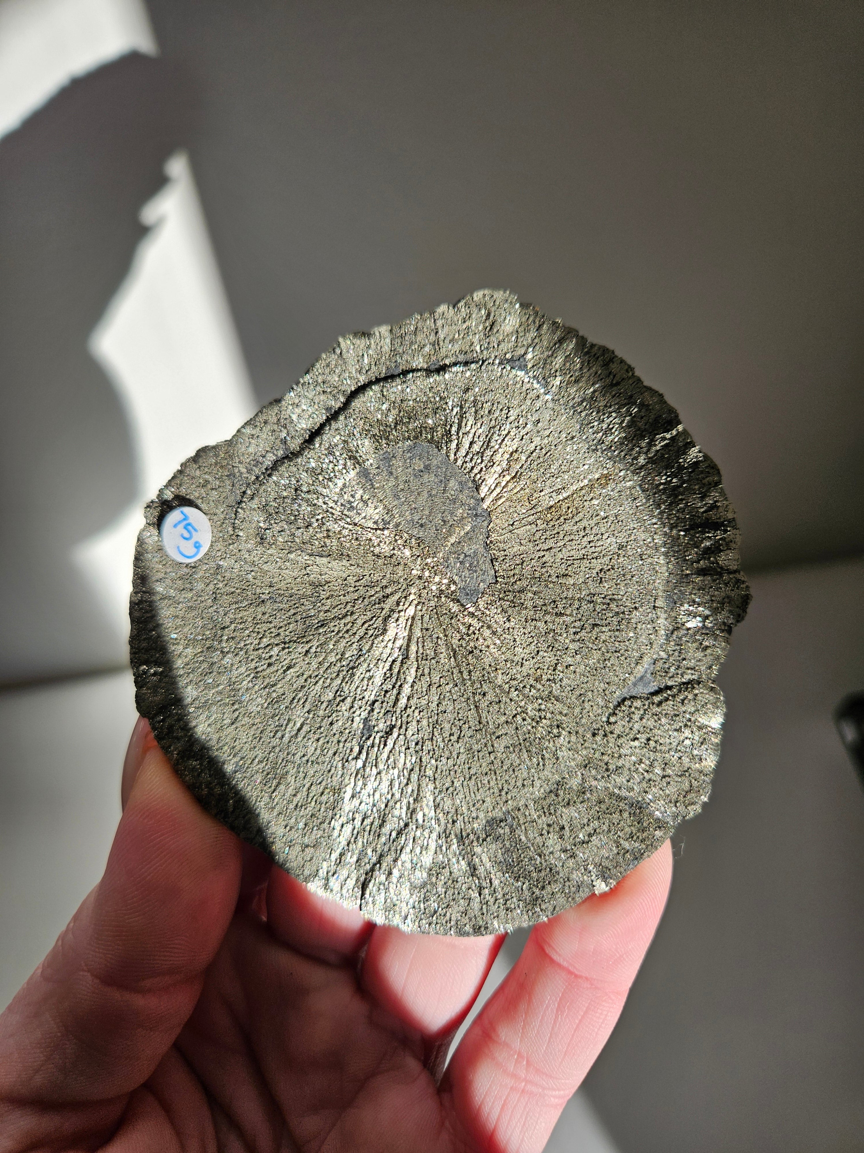 Pyrite sun 002