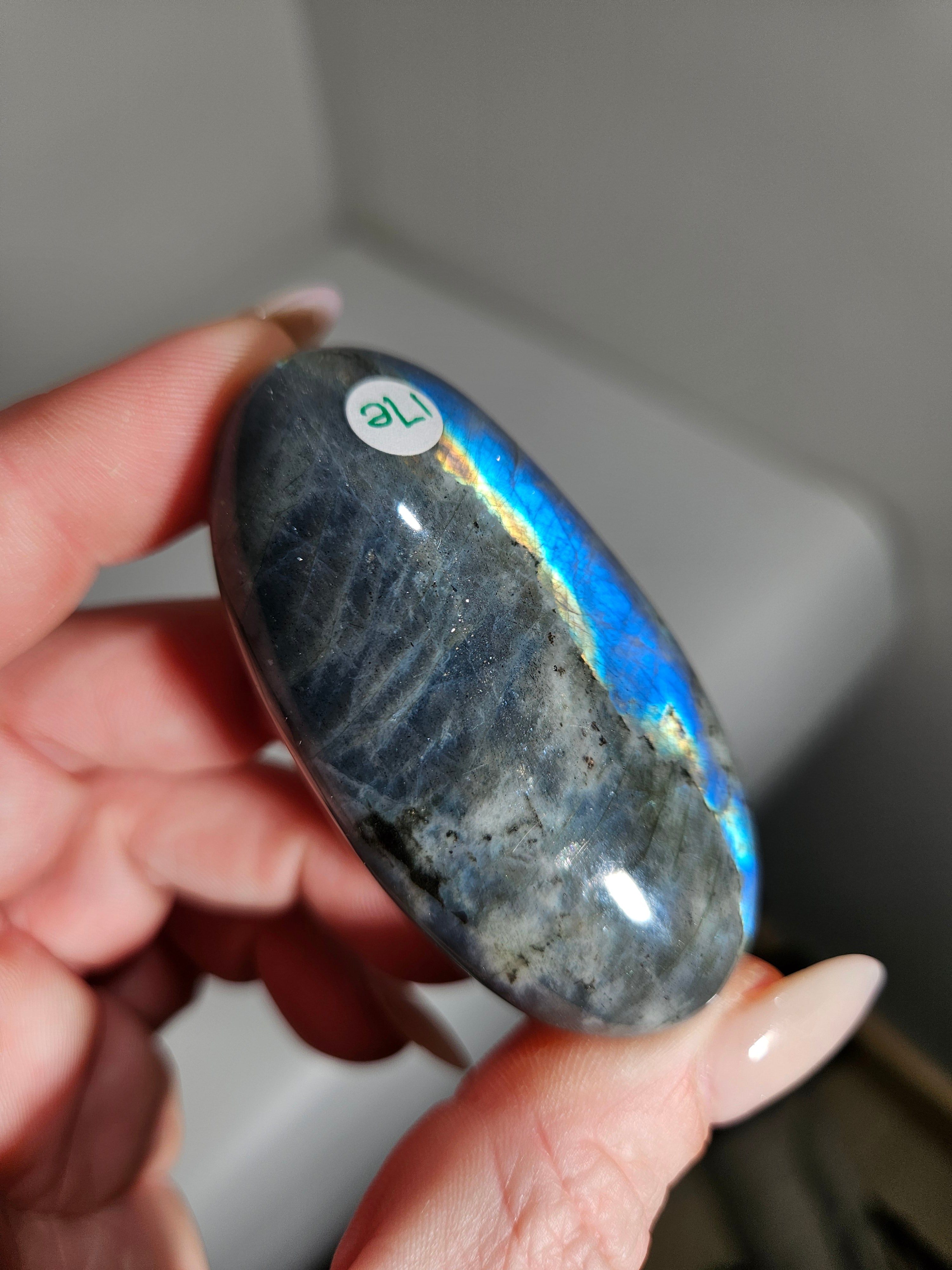 Labradorite Palmstone 007