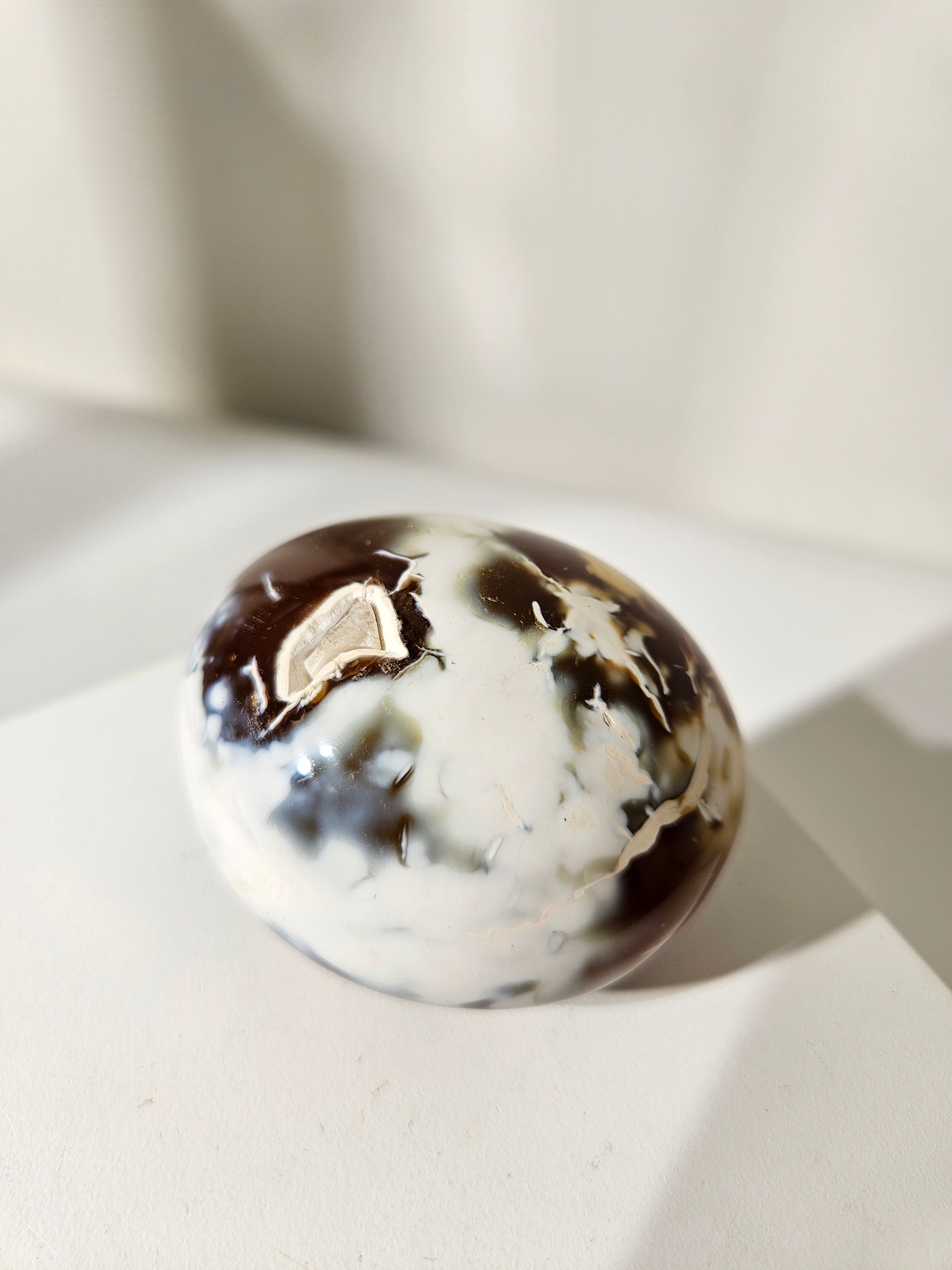 Orca agate x Carnelian Palmstone 004