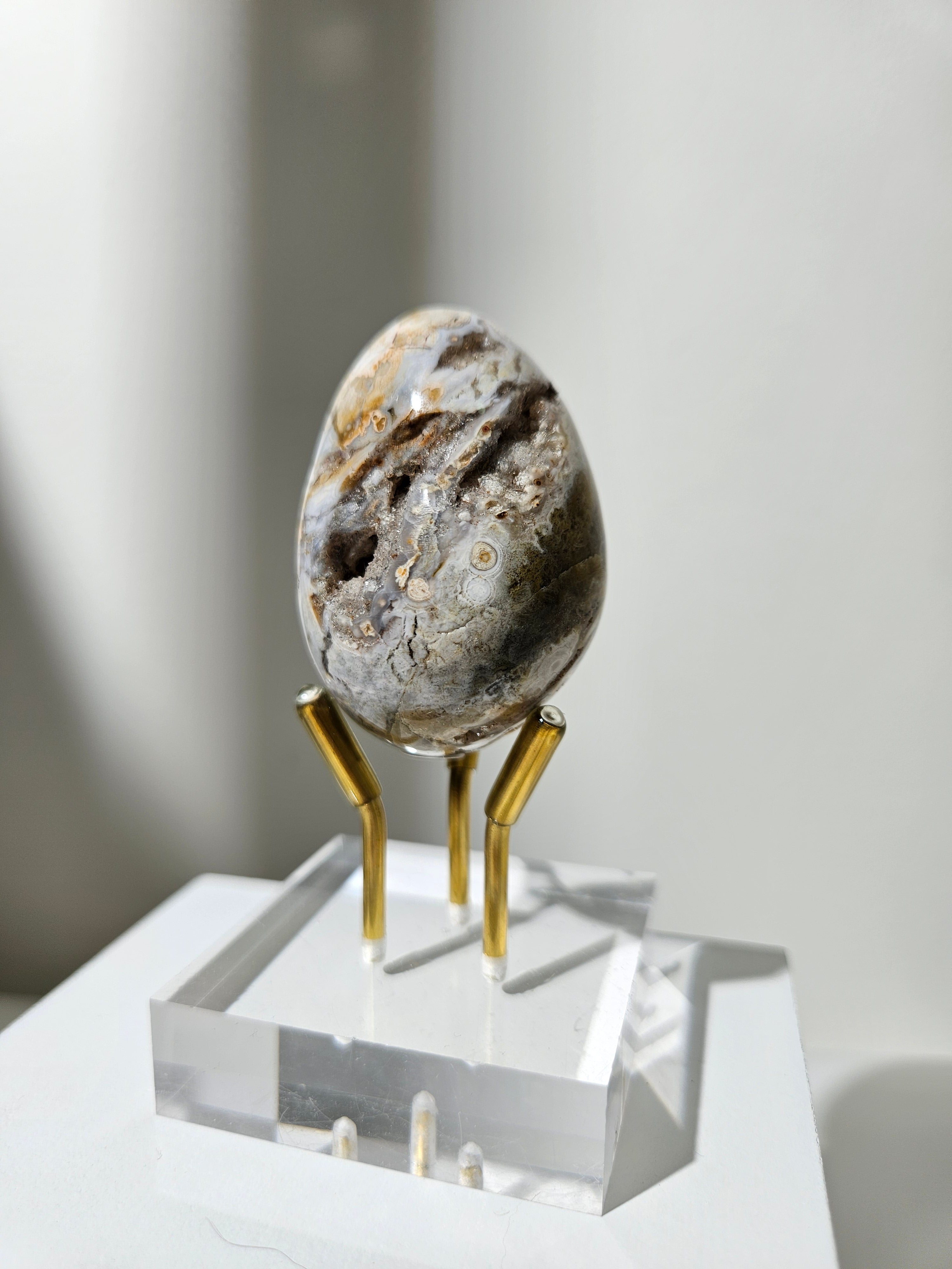 Sea Jasper Palmstone 009