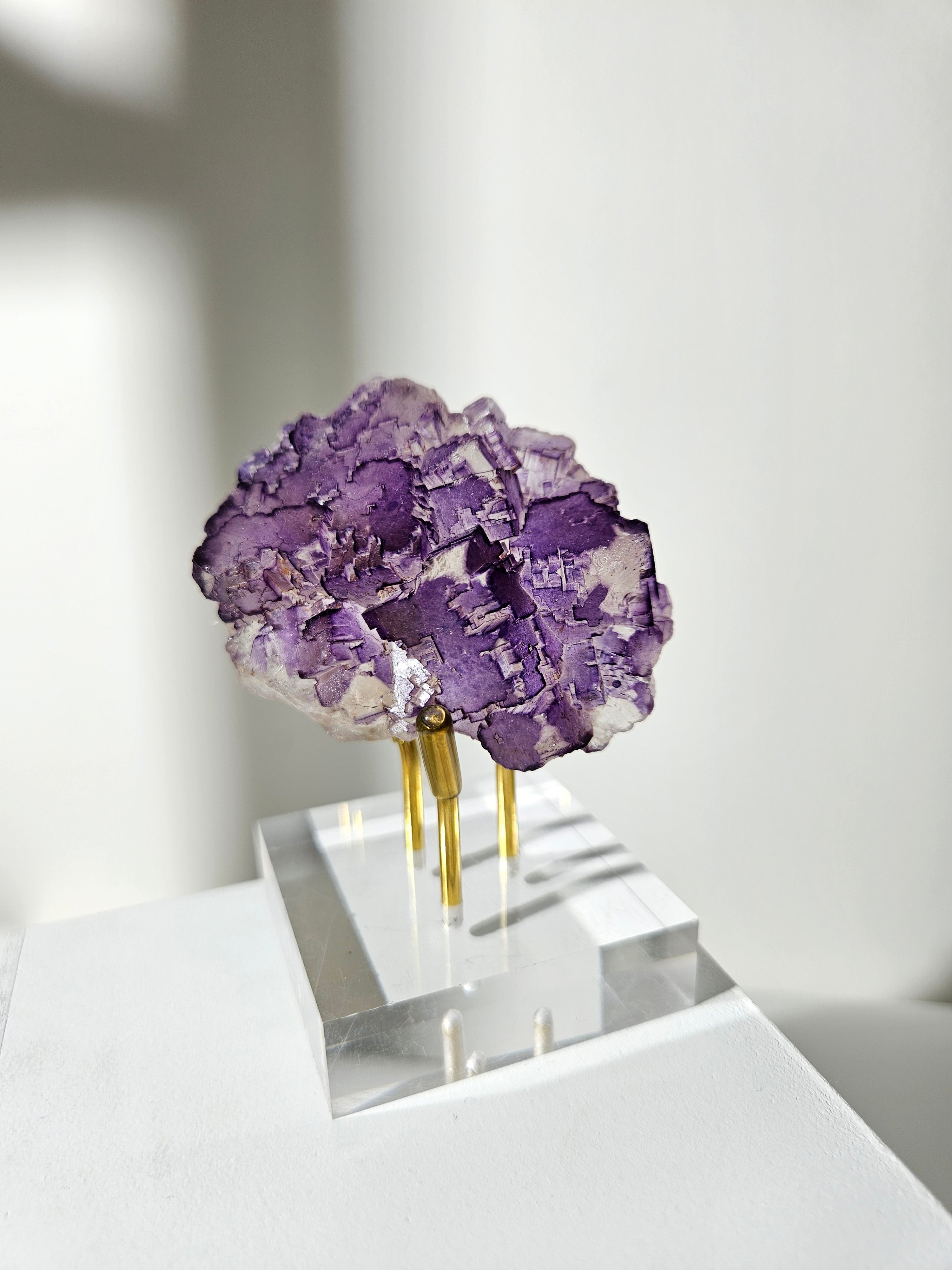 Muzquiz Fluorite 005