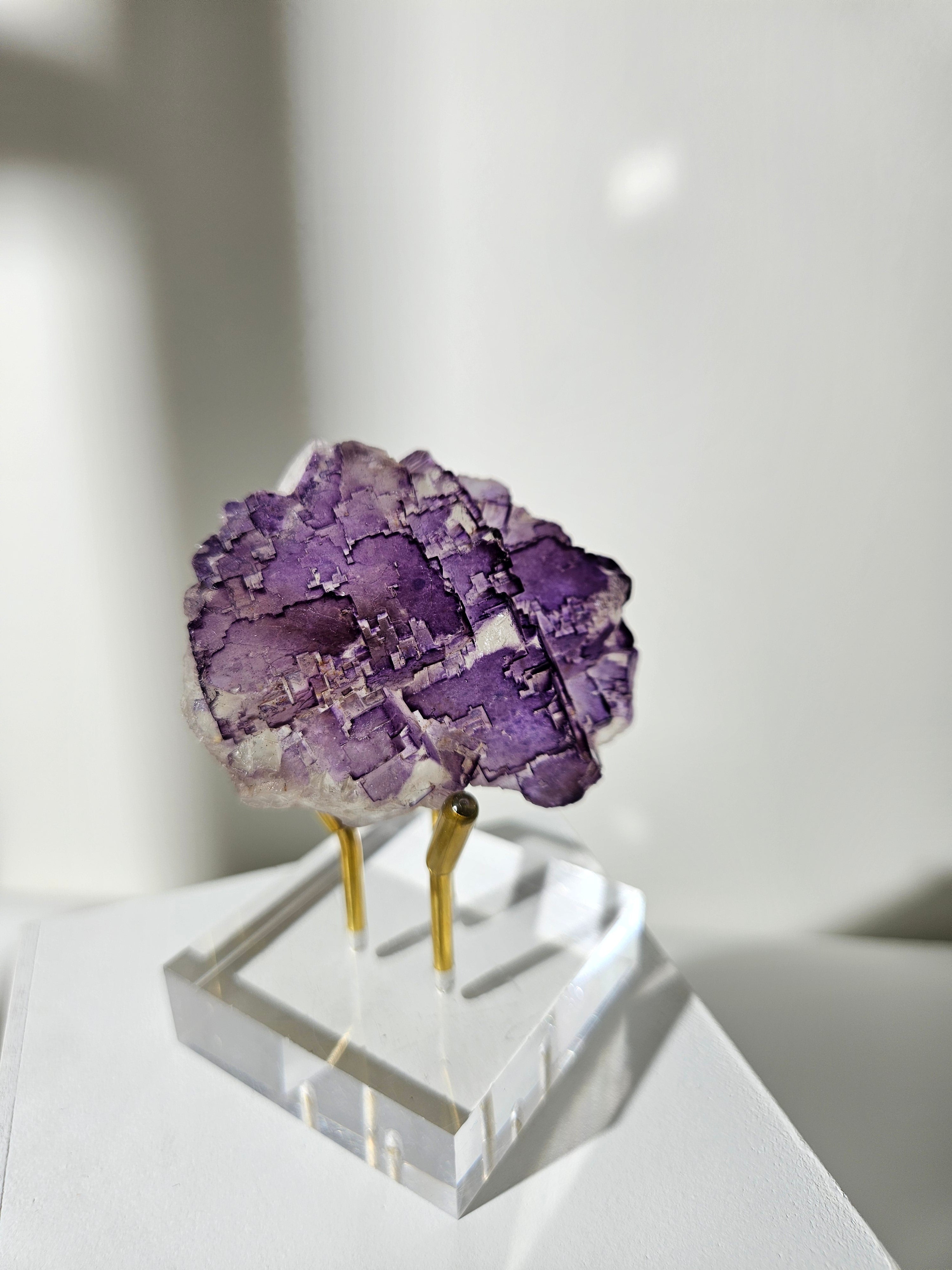 Muzquiz Fluorite 005